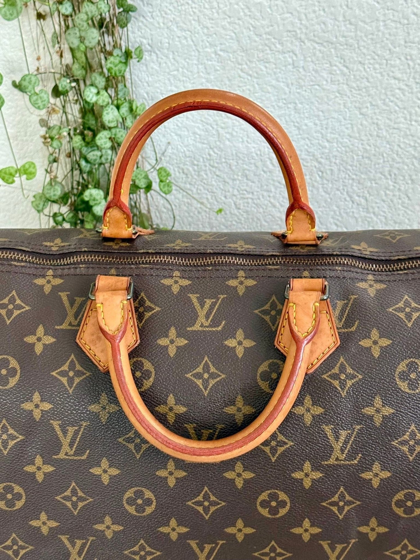 Speedy 40 - π
1990