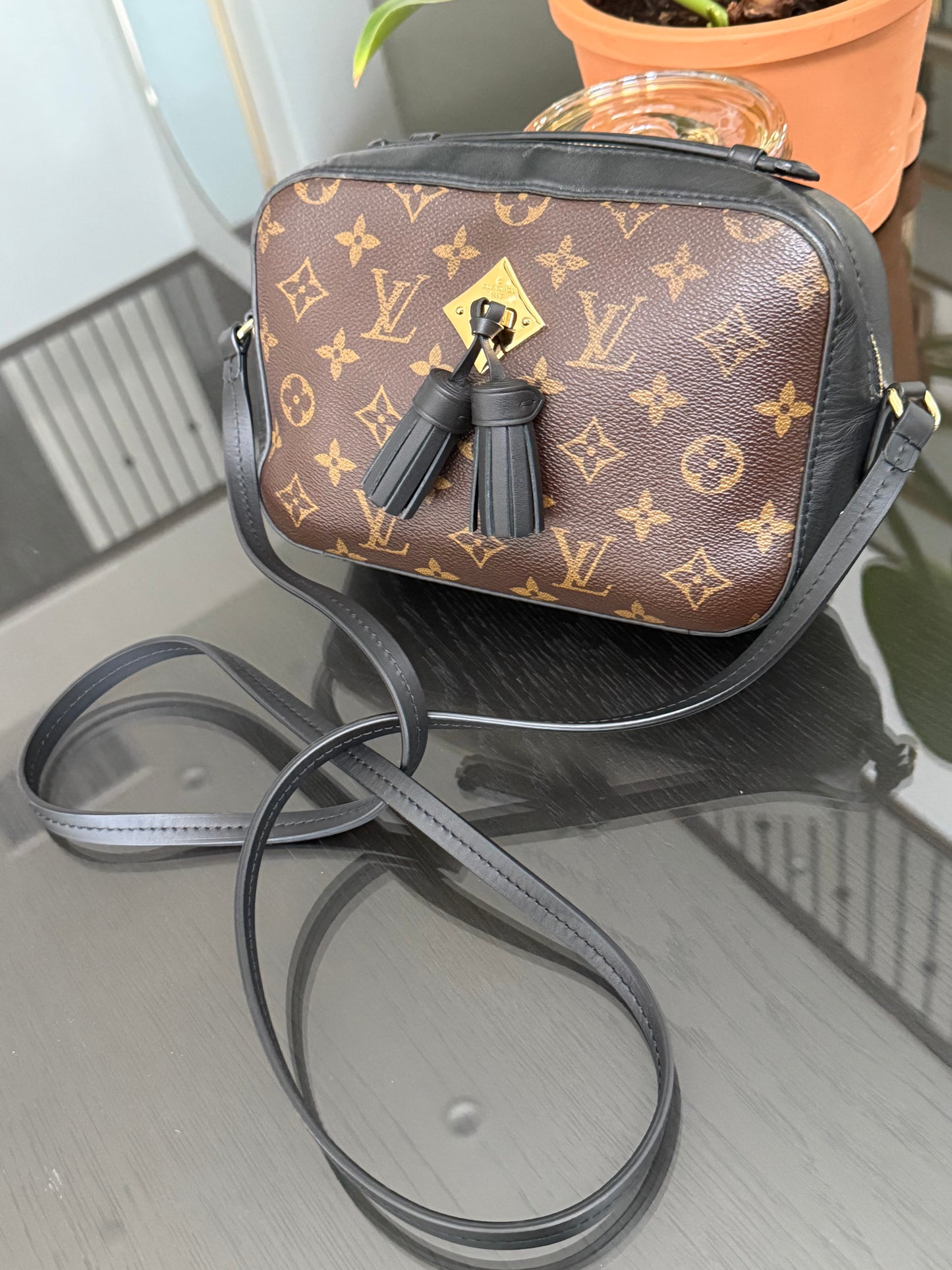 Saintonge Monogram Noir Crossbody -🗓️ Year: 2018