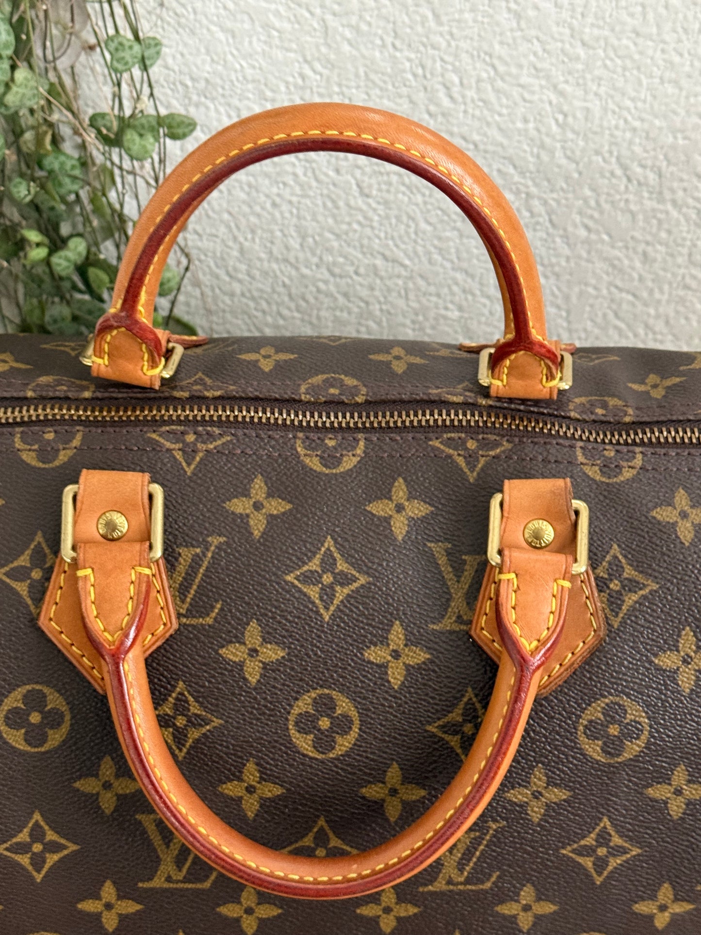 Speedy 35 with Dustbag - ๐
Year: 2000