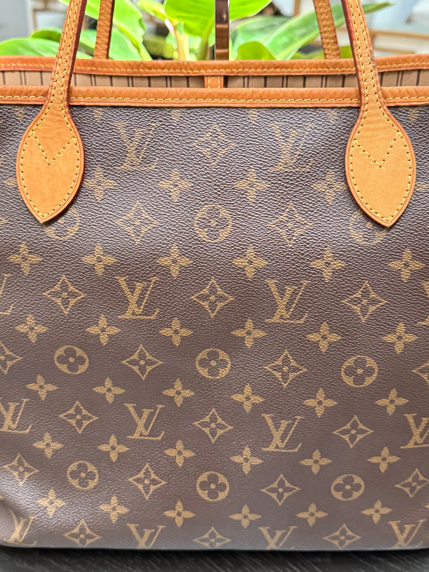 Neverfull MM with Dustbag ๐
Year: 2016