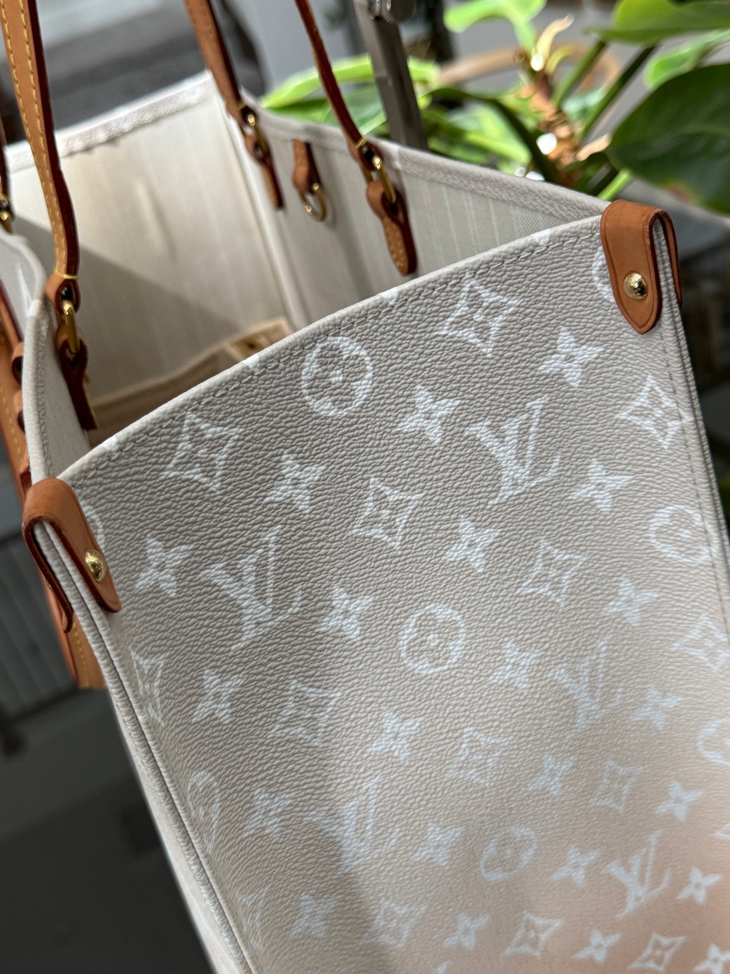 On The Go GM By The Pool in Monogram with Dustbag and Insert Organizer -Microchip