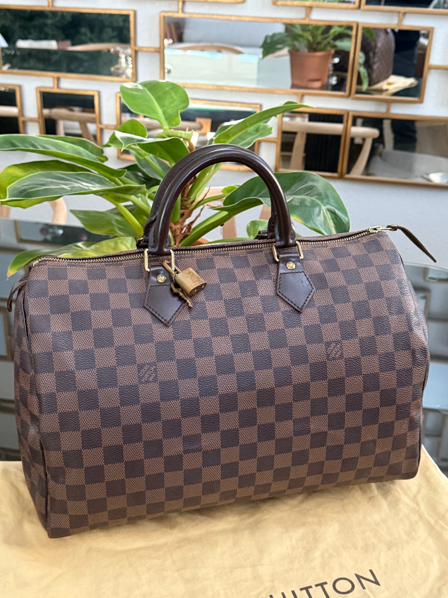 Speedy 35 with π Lock, Key, Dustbag and Insert Organizer-π
Year: 2012