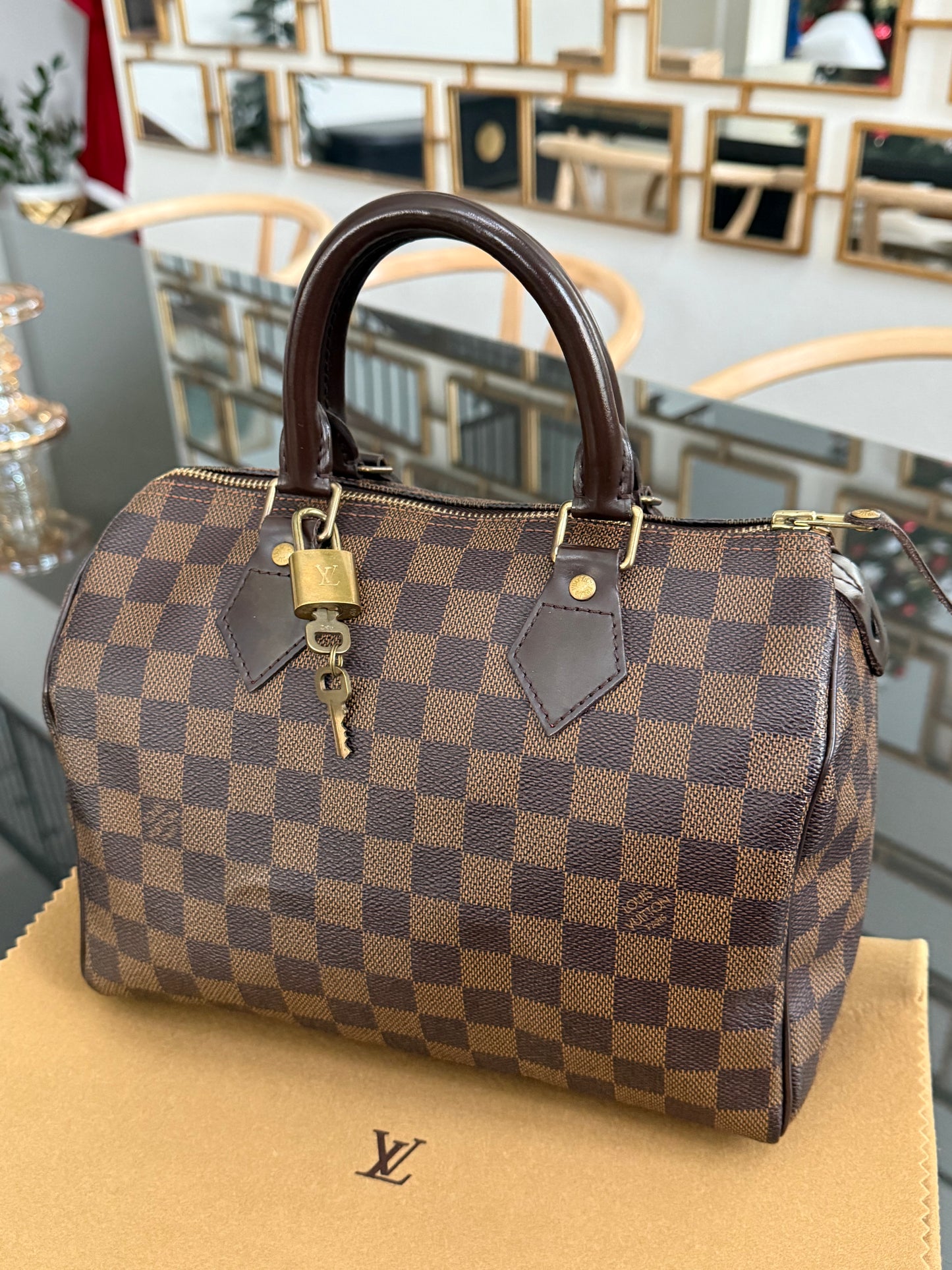 Speedy 25 De with π Lock, Key, Dustbag and Insert Organizer - Year: 2008