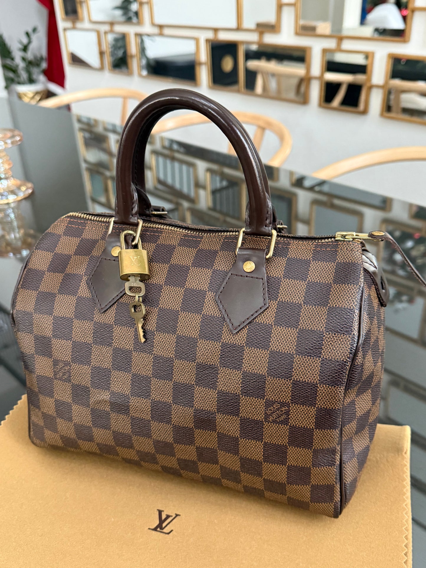Speedy 25 De with π Lock, Key, Dustbag and Insert Organizer - Year: 2008