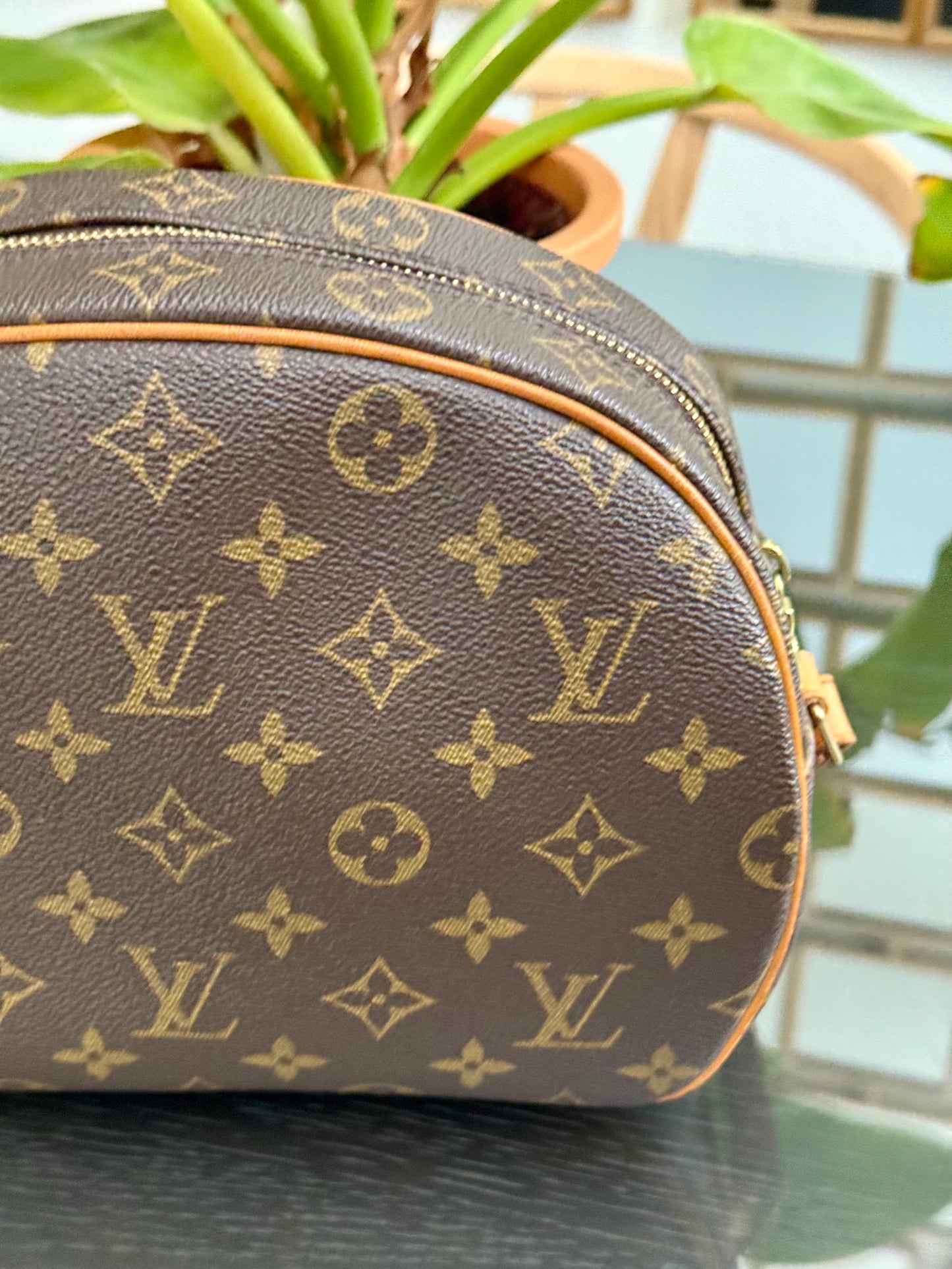 Blois Crossbody -🗓️ Year: 2000