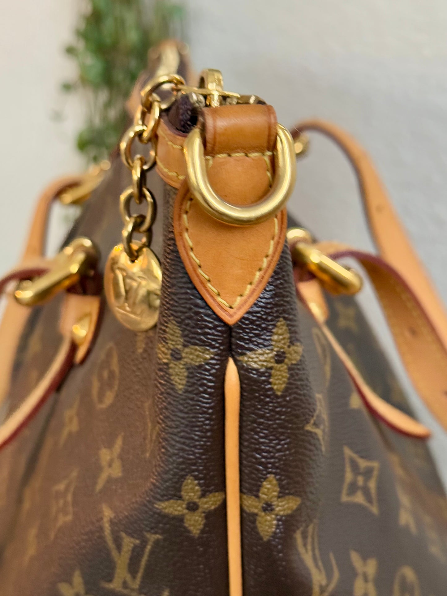 Palermo GM with Dustbag -Year: 2012