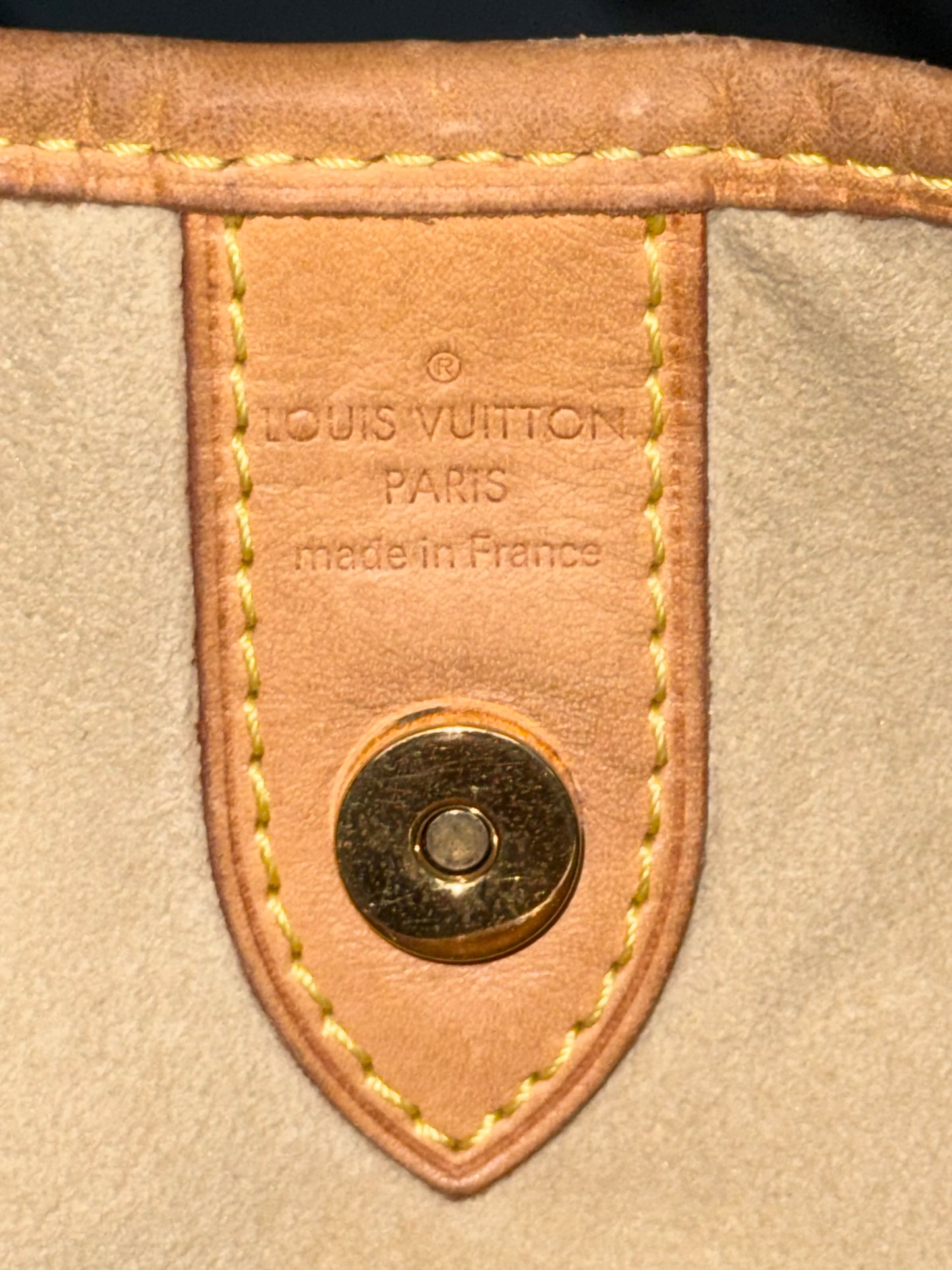 Galleria GM Azur with Dustbag ๐๏ธ Year: 2008