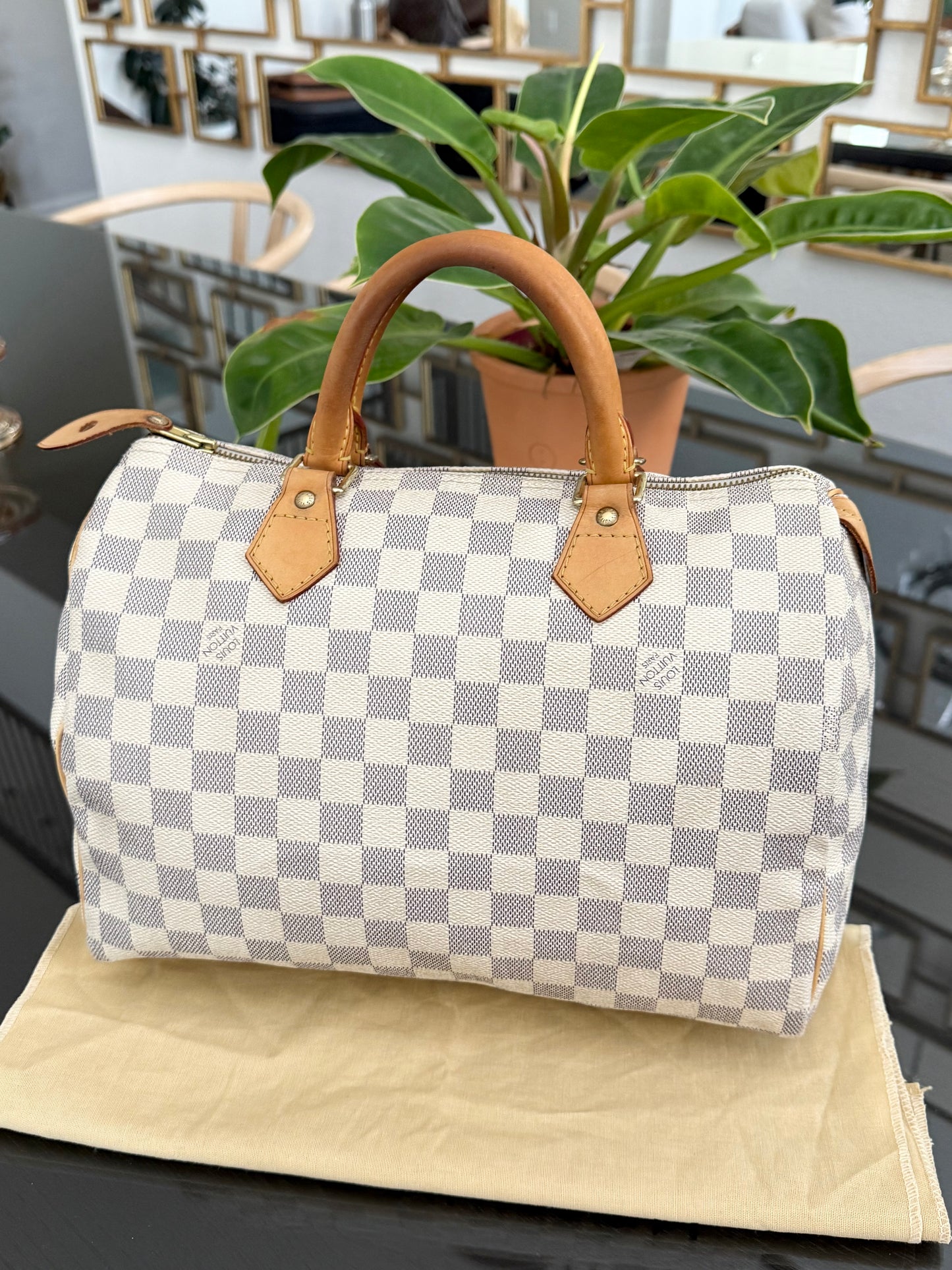 Speedy 30 Azur with Dustbag and insert organizer
๐๏ธ Year: 2007