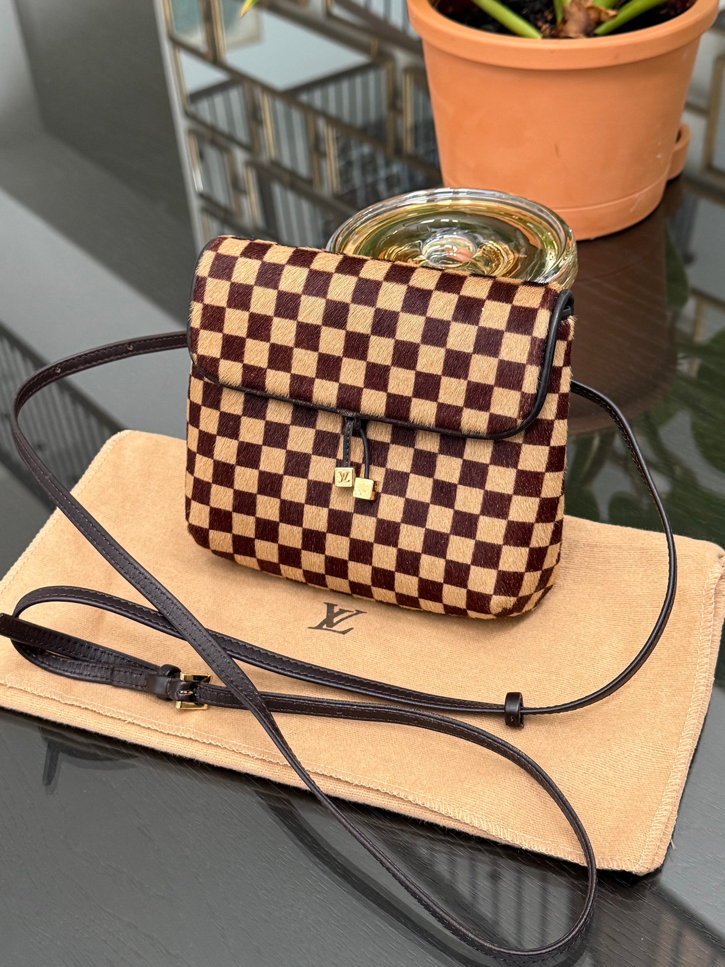 Damier Sauvage Gazelle Crossbody Pouch with Dustbag -🗓️ Year: 2001