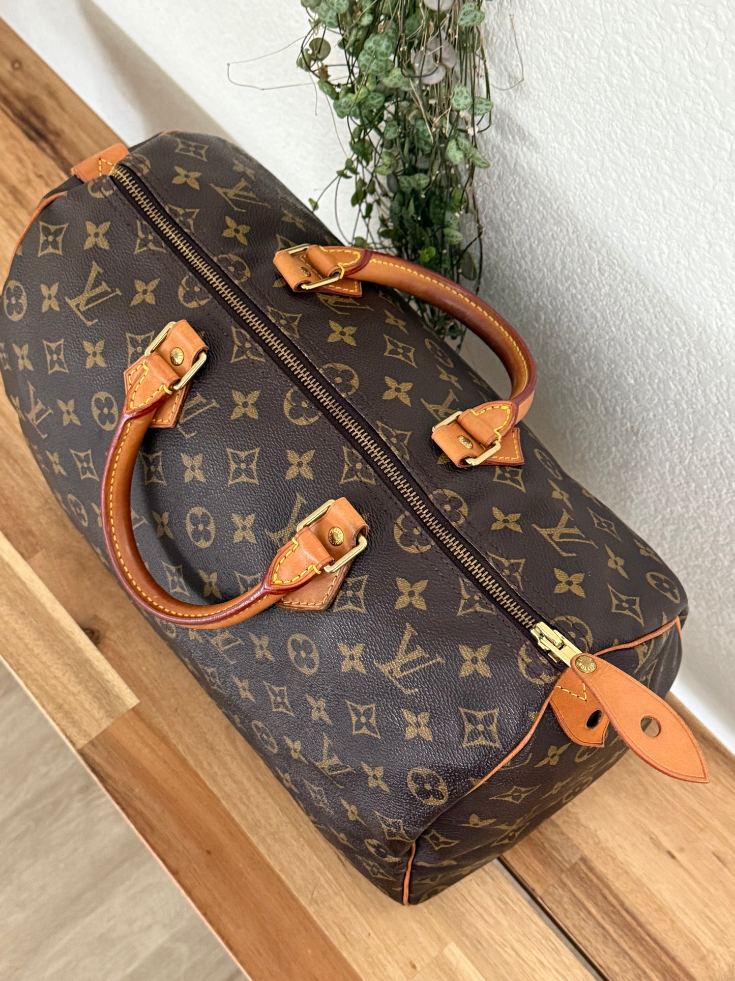 Speedy 35 with Dustbag - ๐
Year: 2000