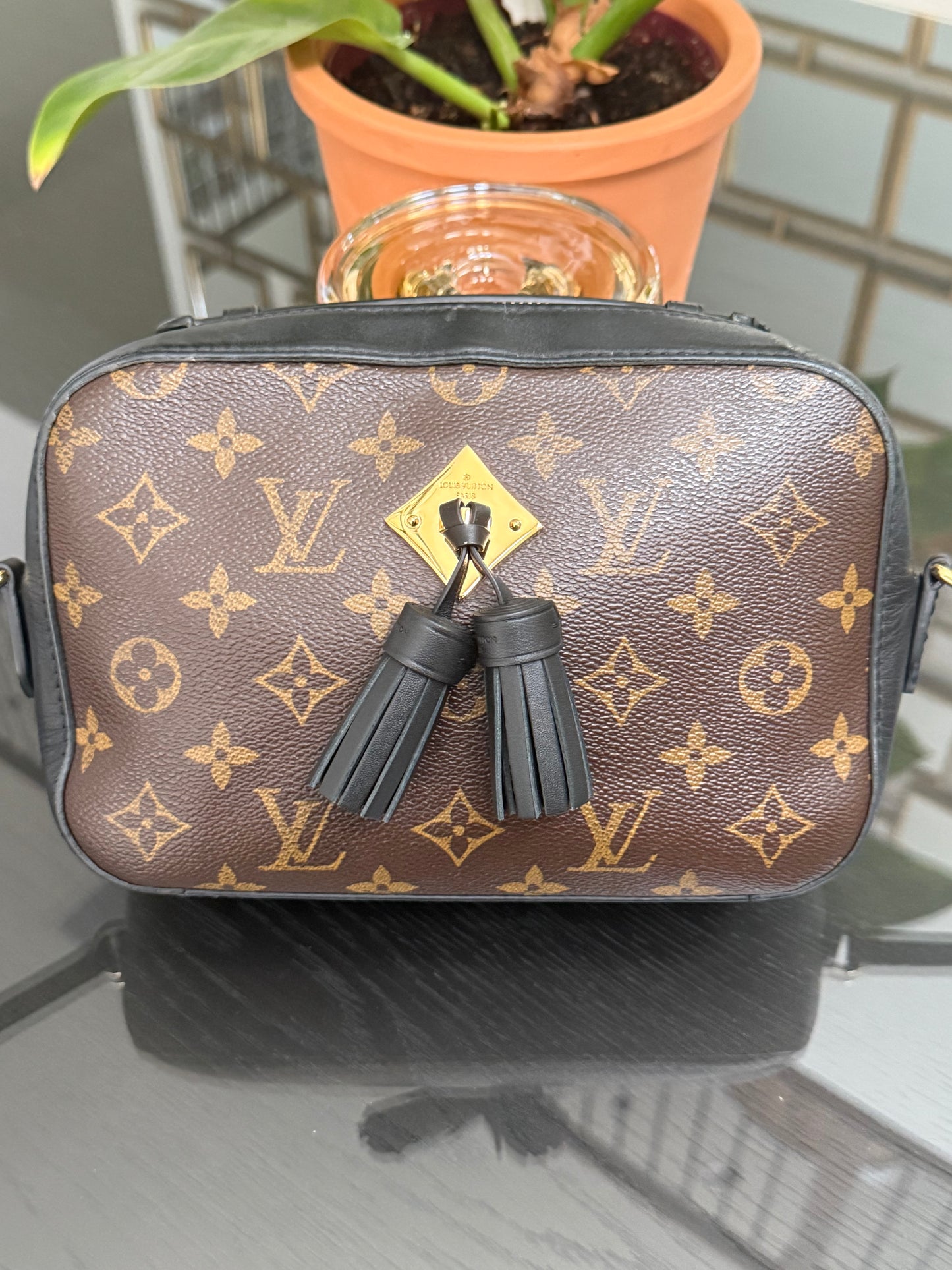 Saintonge Monogram Noir Crossbody -🗓️ Year: 2018