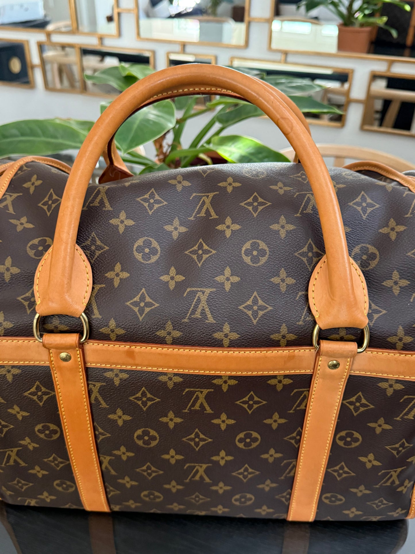 Sac Chien Monogram Pet Carrier 40 with Luggage Tag 🗓️ Year: 2004