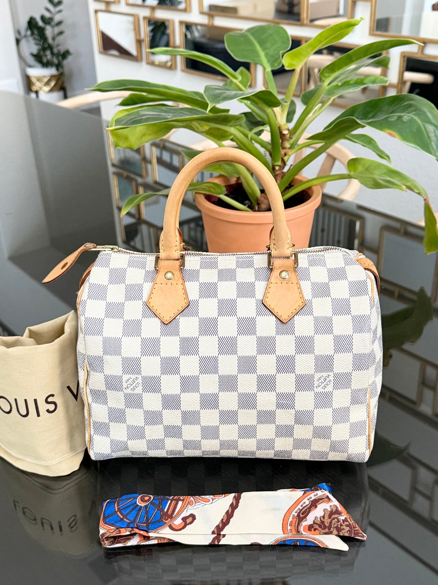 Speedy 25 Azur with, Dustbag, Insert organizer and twilly
๐๏ธ Year: 2008