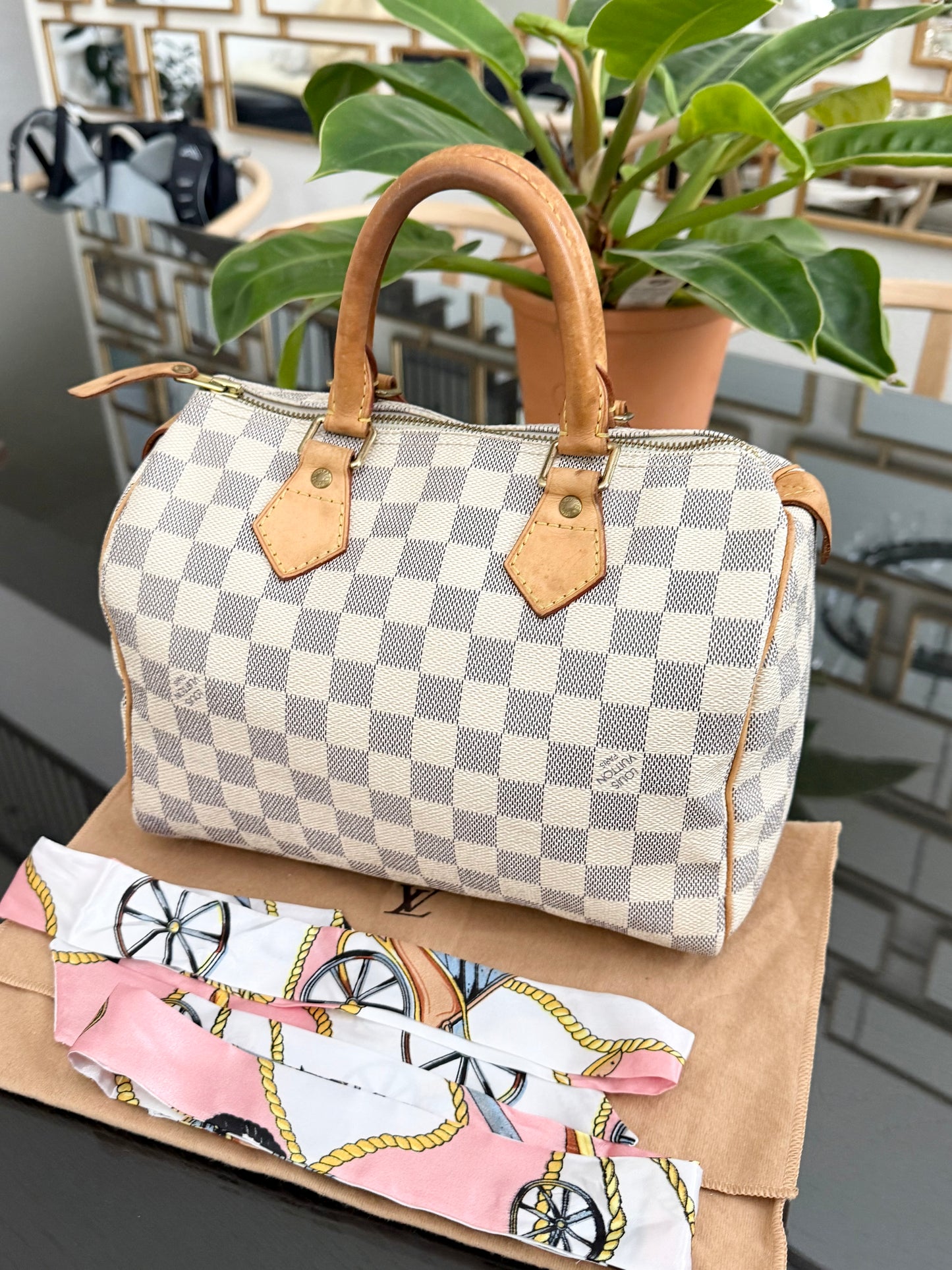 Speedy 25 Azur with Dustbag, insert organizer and twilly
๐๏ธ Year: 2007