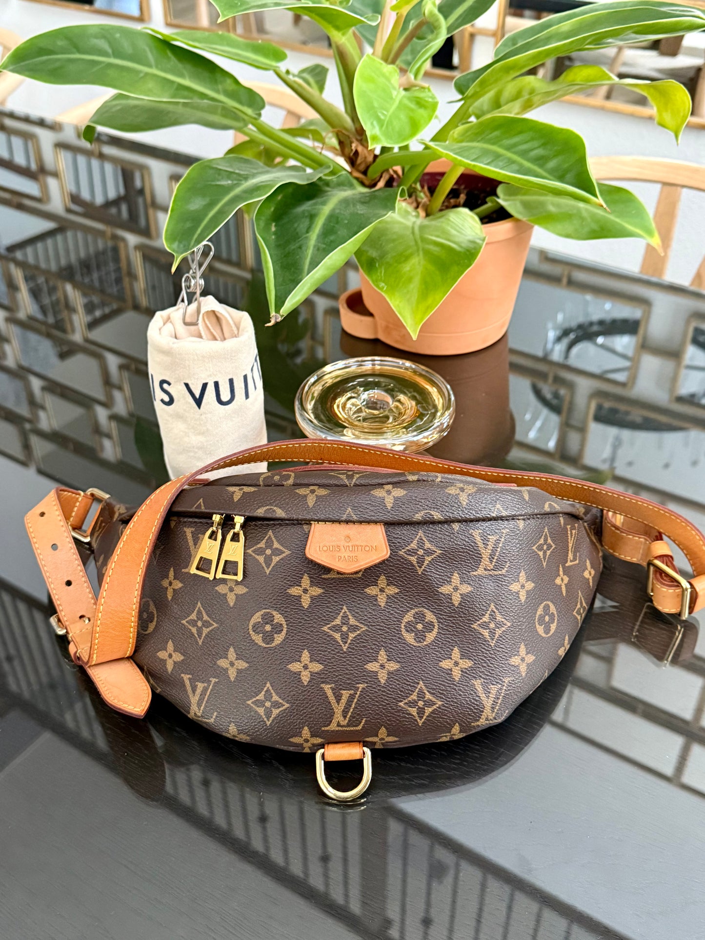 Bumbag Monogram - 🗓️ Microchip