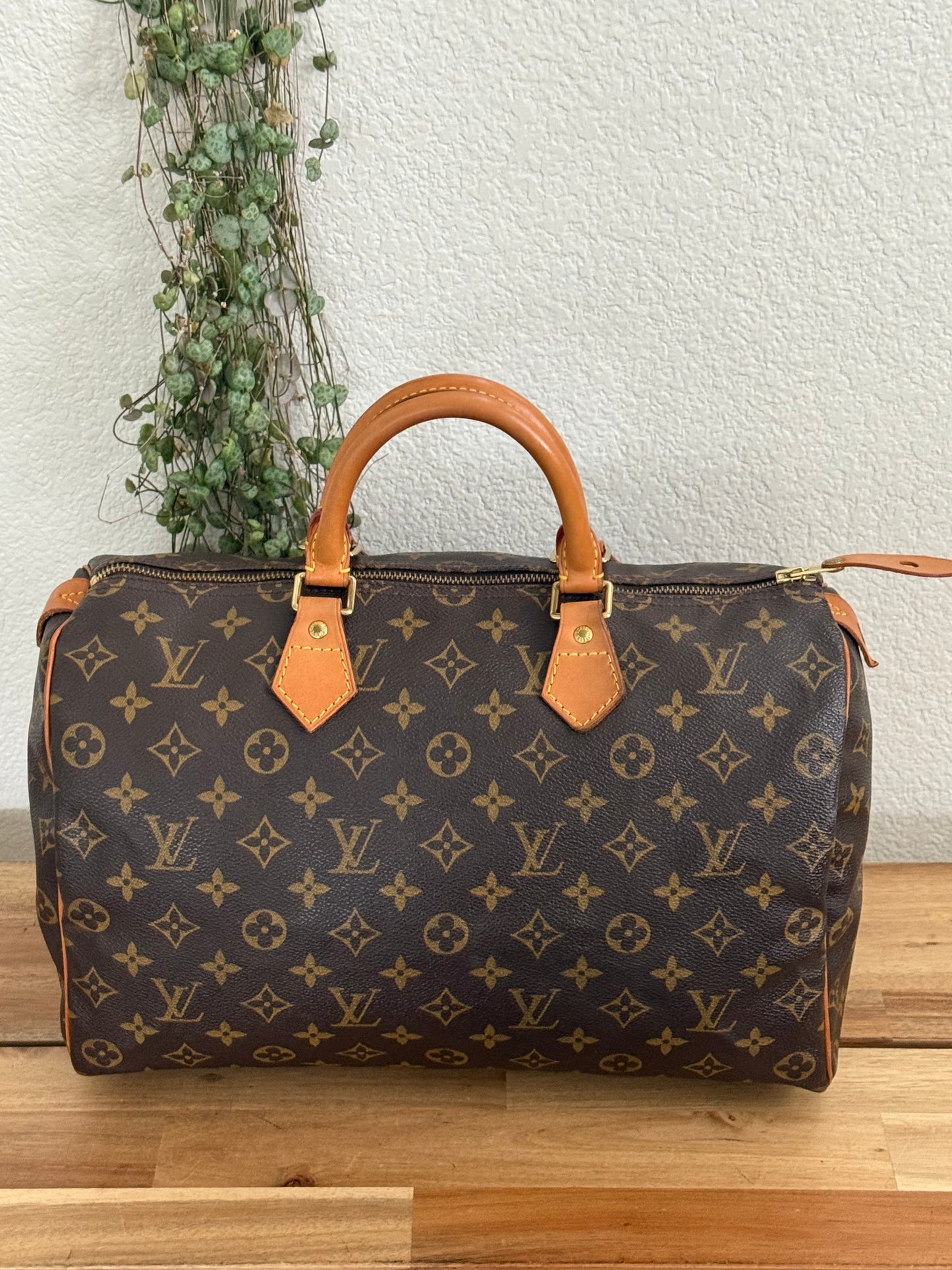 Speedy 35 with Dustbag - ๐
Year: 2000