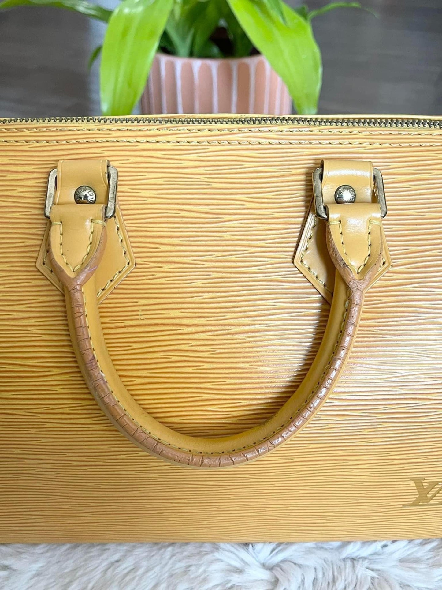 Epi Speedy 25 in Tassel Yellow -Year: 1994