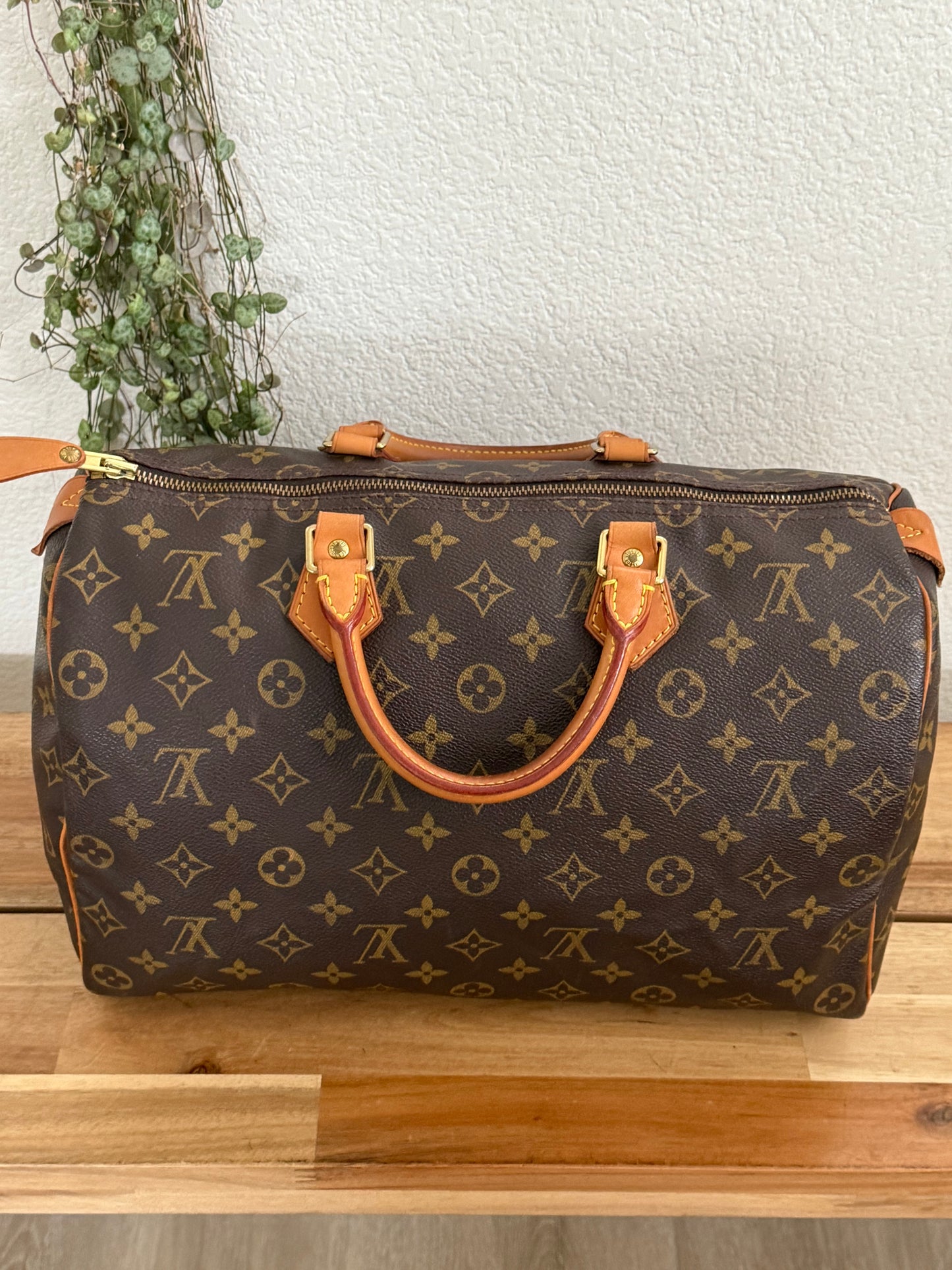 Speedy 35 with Dustbag - ๐
Year: 2000