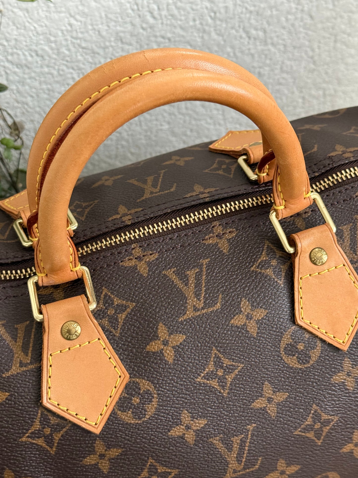 Speedy 40 - ๐
2000