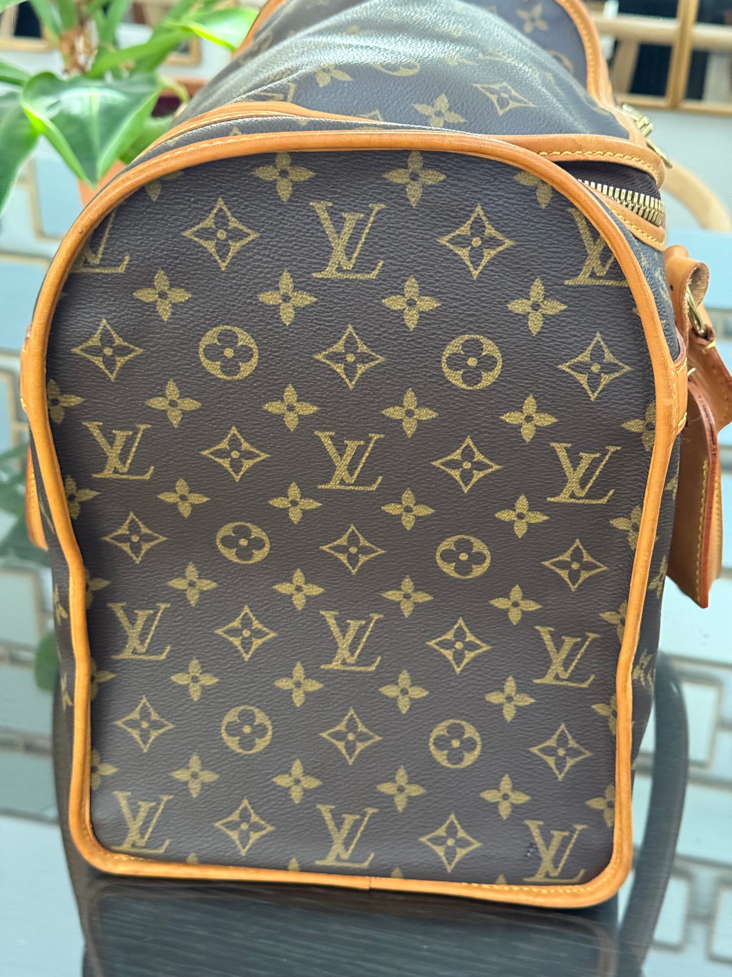 Sac Chien Monogram Pet Carrier 40 with Luggage Tag 🗓️ Year: 2004