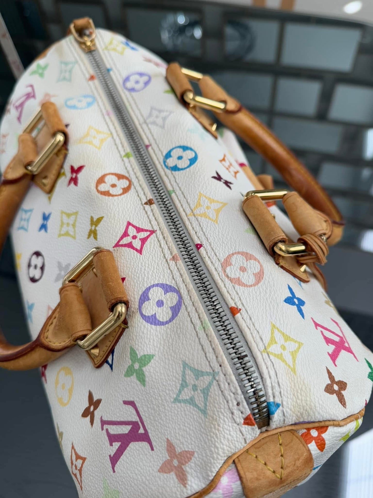 Multicolor Speedy 30 with Dustbag and Insert Organizer π
Year: 2006
