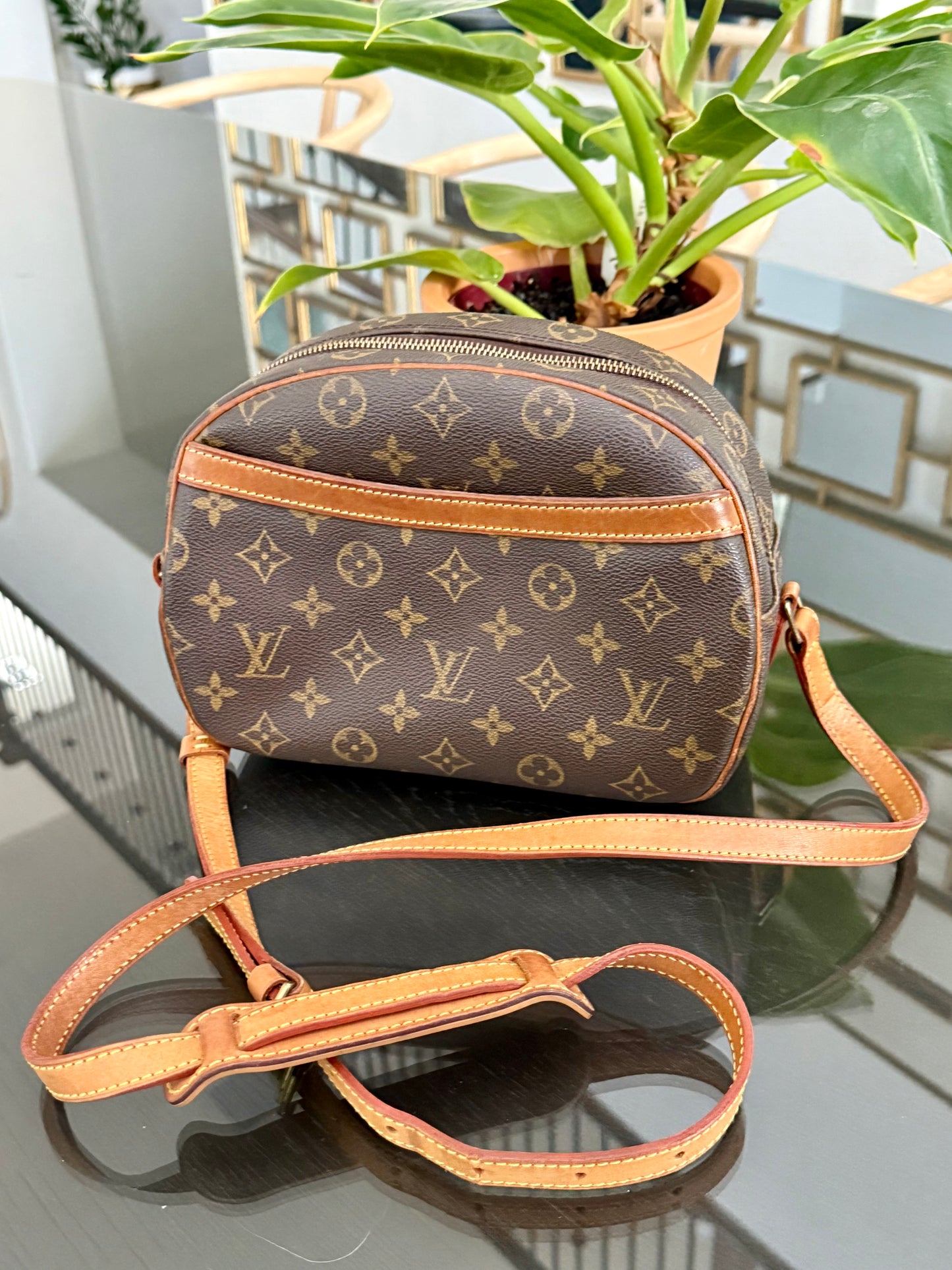 Blois Crossbody -🗓️ Year: 2002