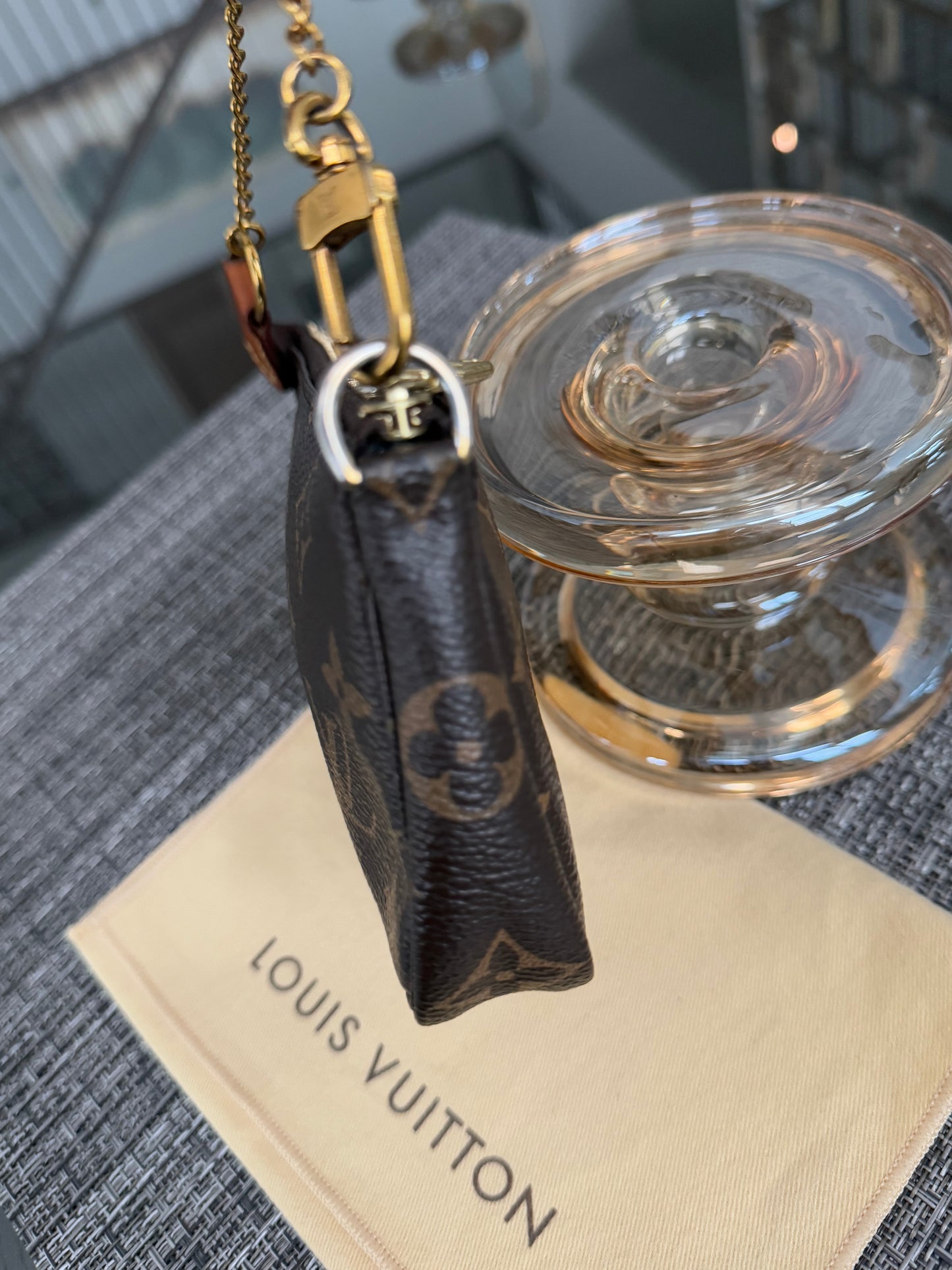 Mini Pochette Accessories with Dustbag - ๐
Year: 2017