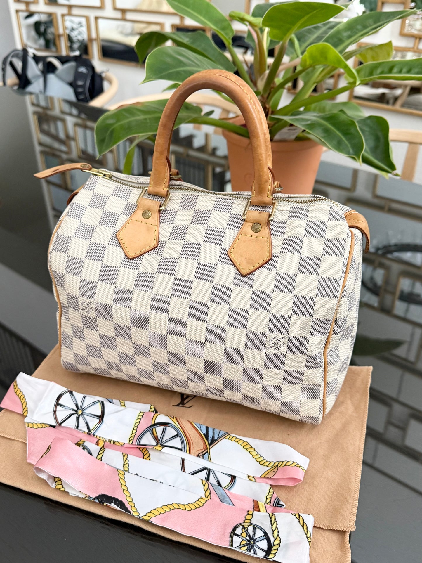 Speedy 25 Azur with Dustbag, insert organizer and twilly
๐๏ธ Year: 2007