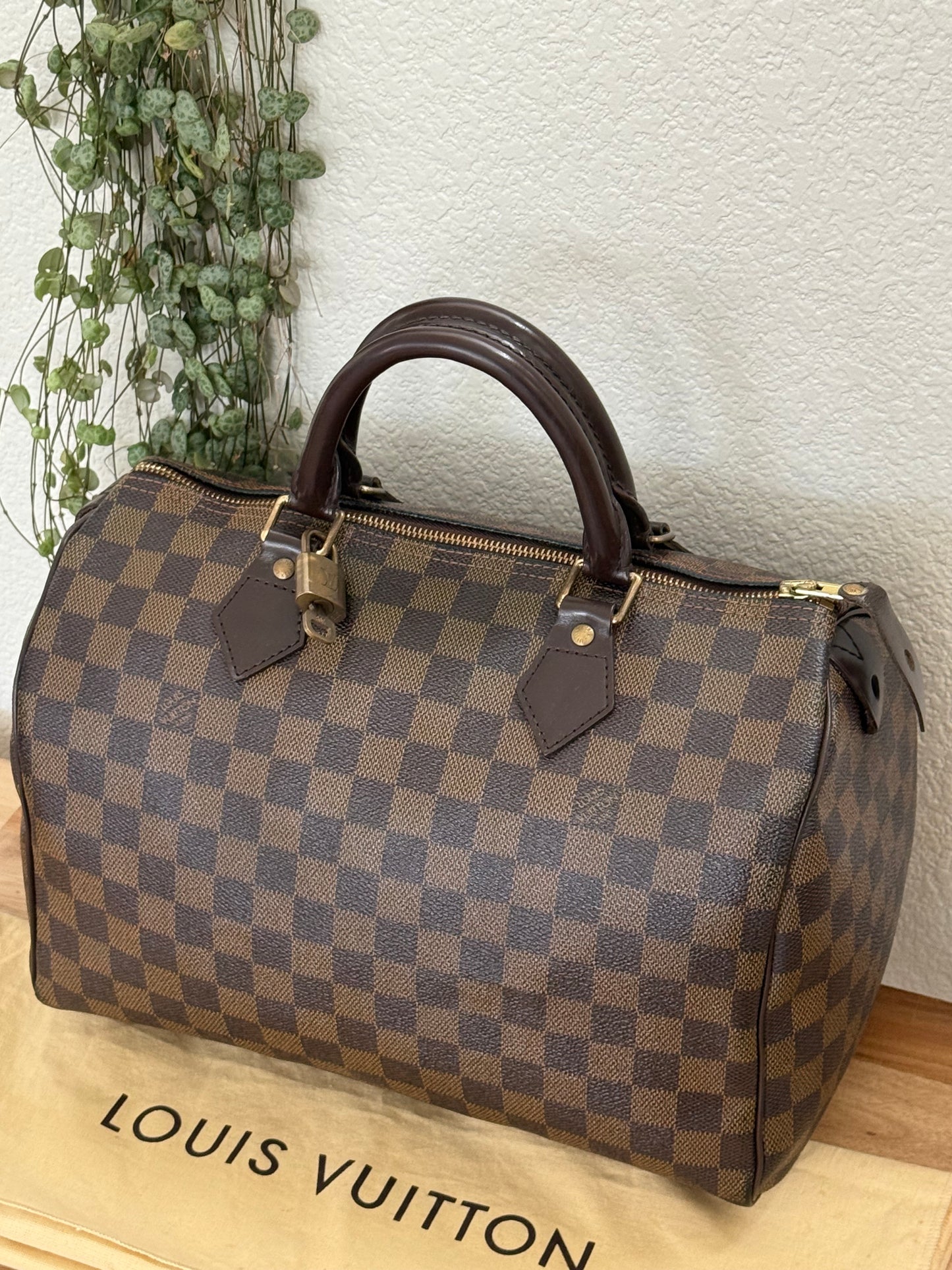 Speedy 30 in DE with π Lock & Key and Dustbag - π
Year: 2008