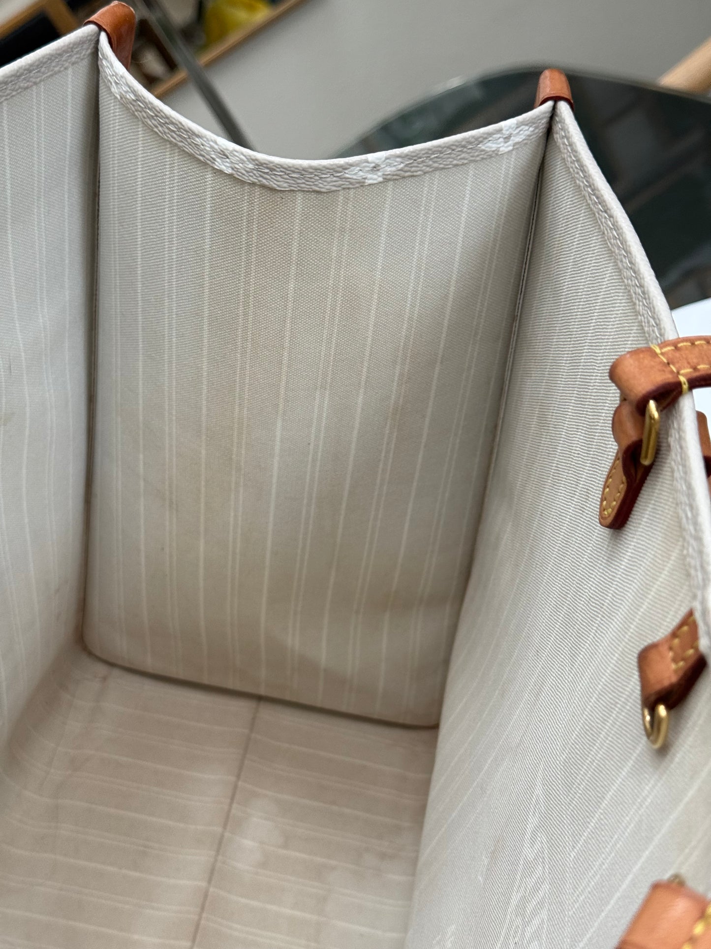 On The Go GM By The Pool in Monogram with Dustbag and Insert Organizer -Microchip