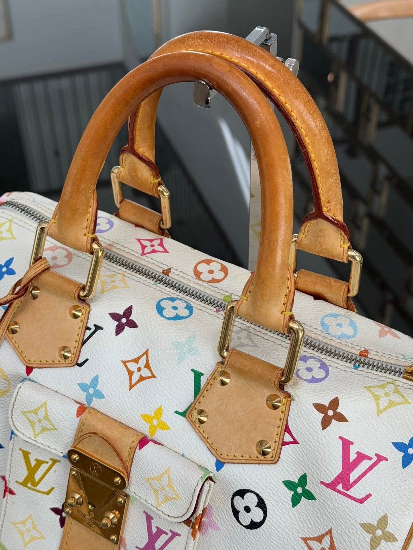Multicolor Speedy 30 with Dustbag and Insert Organizer π
Year: 2006