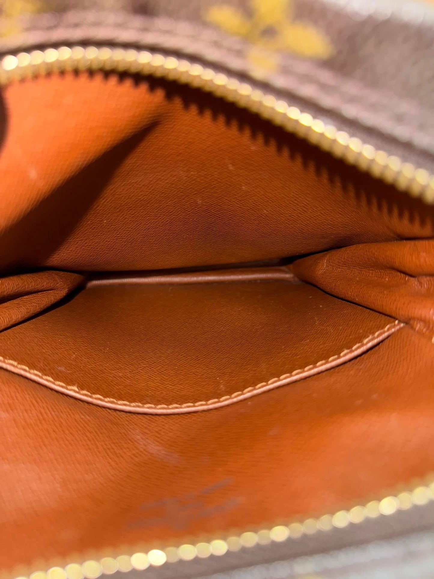 Danube PM Crossbody Bag - Year 2001