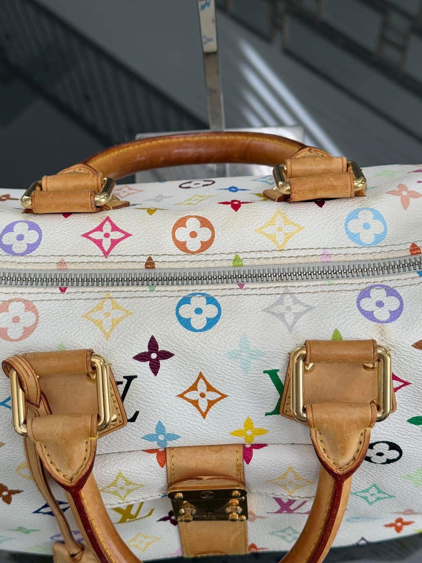 Multicolor Speedy 30 with Dustbag and Insert Organizer π
Year: 2006