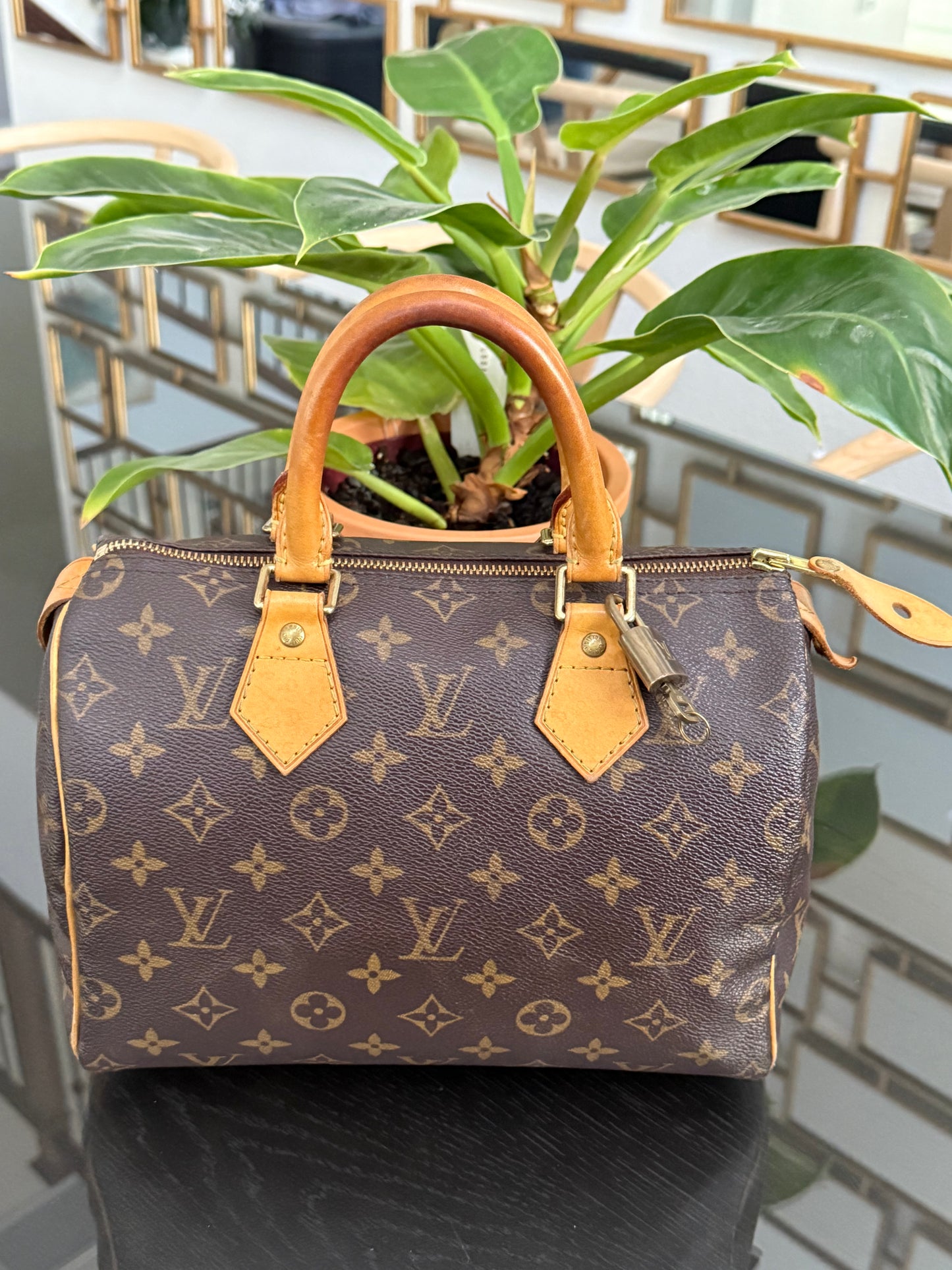 Speedy 25 with 🔐 Lock and Key 🌷Year: 2007