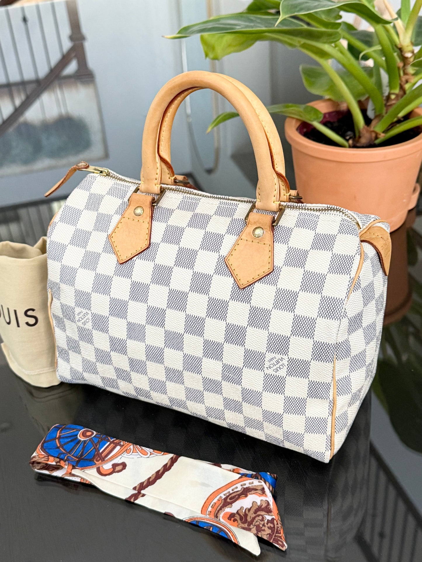 Speedy 25 Azur with, Dustbag, Insert organizer and twilly
๐๏ธ Year: 2008