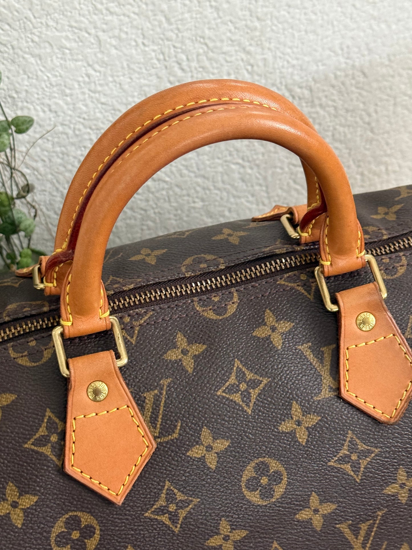 Speedy 35 with Dustbag - ๐
Year: 2000