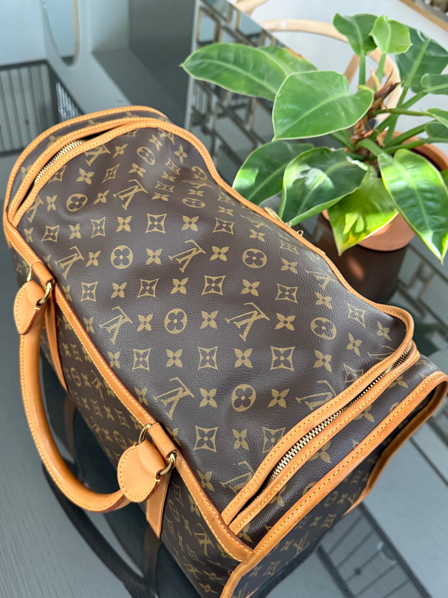 Sac Chien Monogram Pet Carrier 40 with Luggage Tag 🗓️ Year: 2004