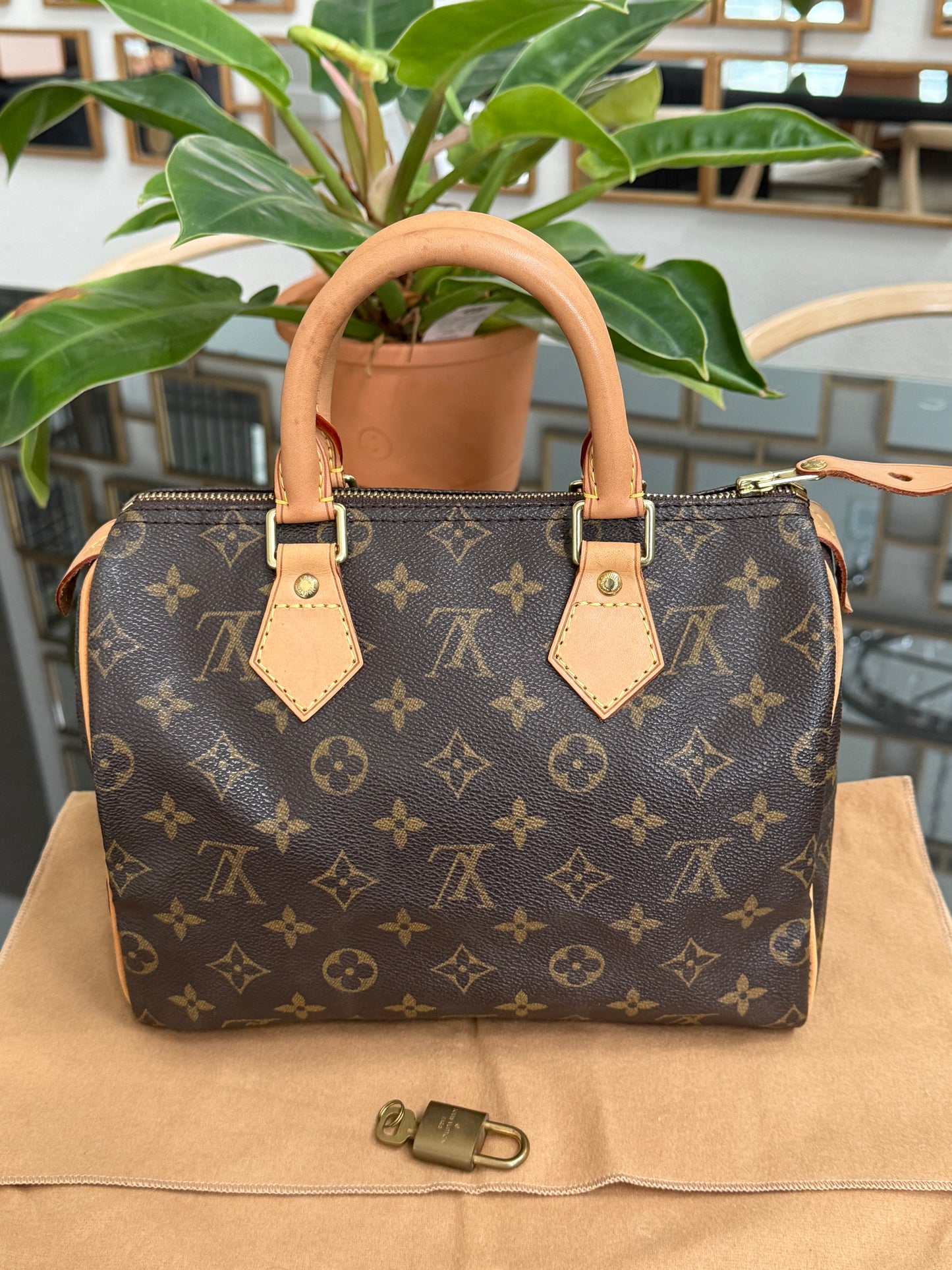 Speedy 25 with π Lock & Key and Dustbag π
Year: 2003