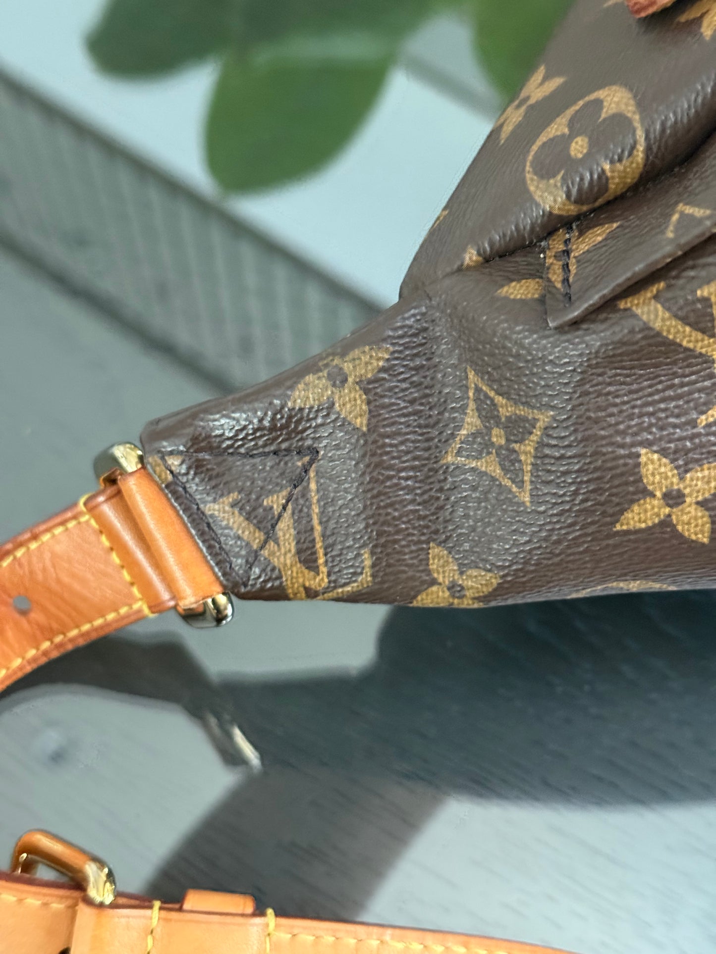 Bumbag Monogram - 🗓️ Microchip