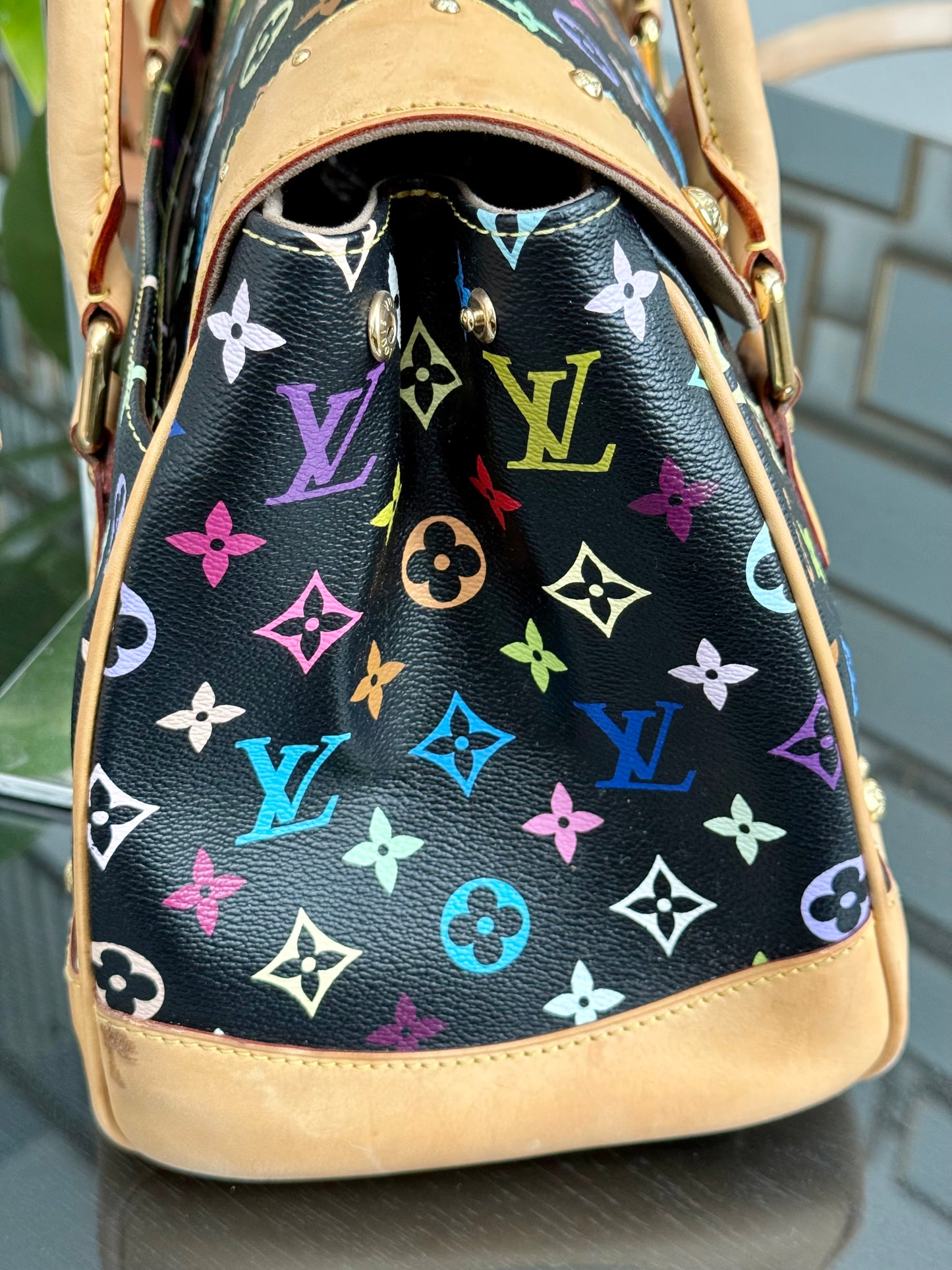 Multicolor Beverly GM with Dustbag π
Year: 2008