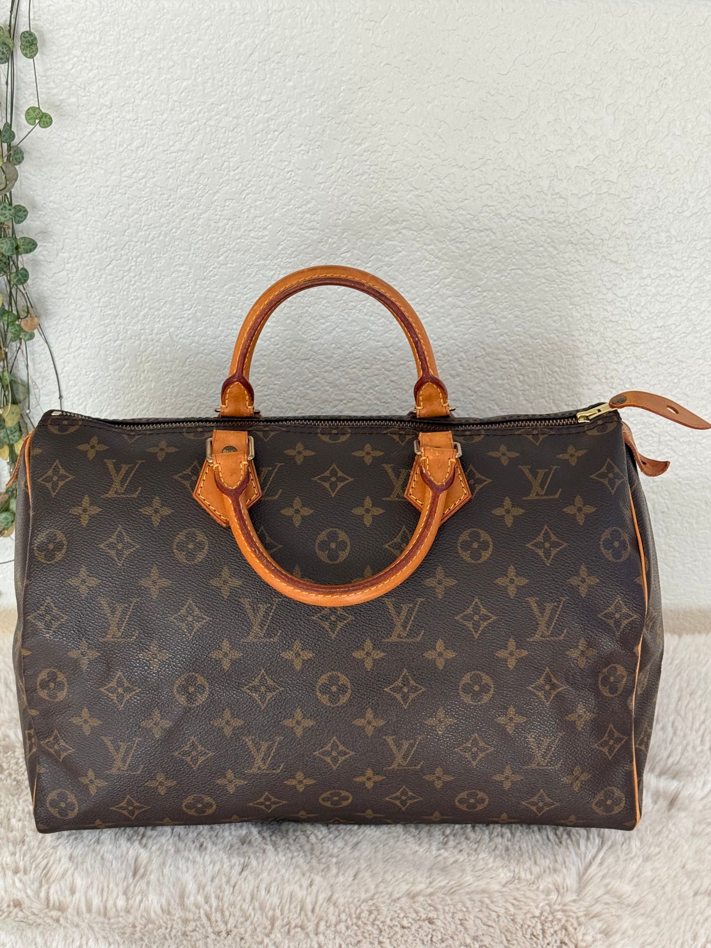 Speedy 35 with Dustbag- π
Year: 1994