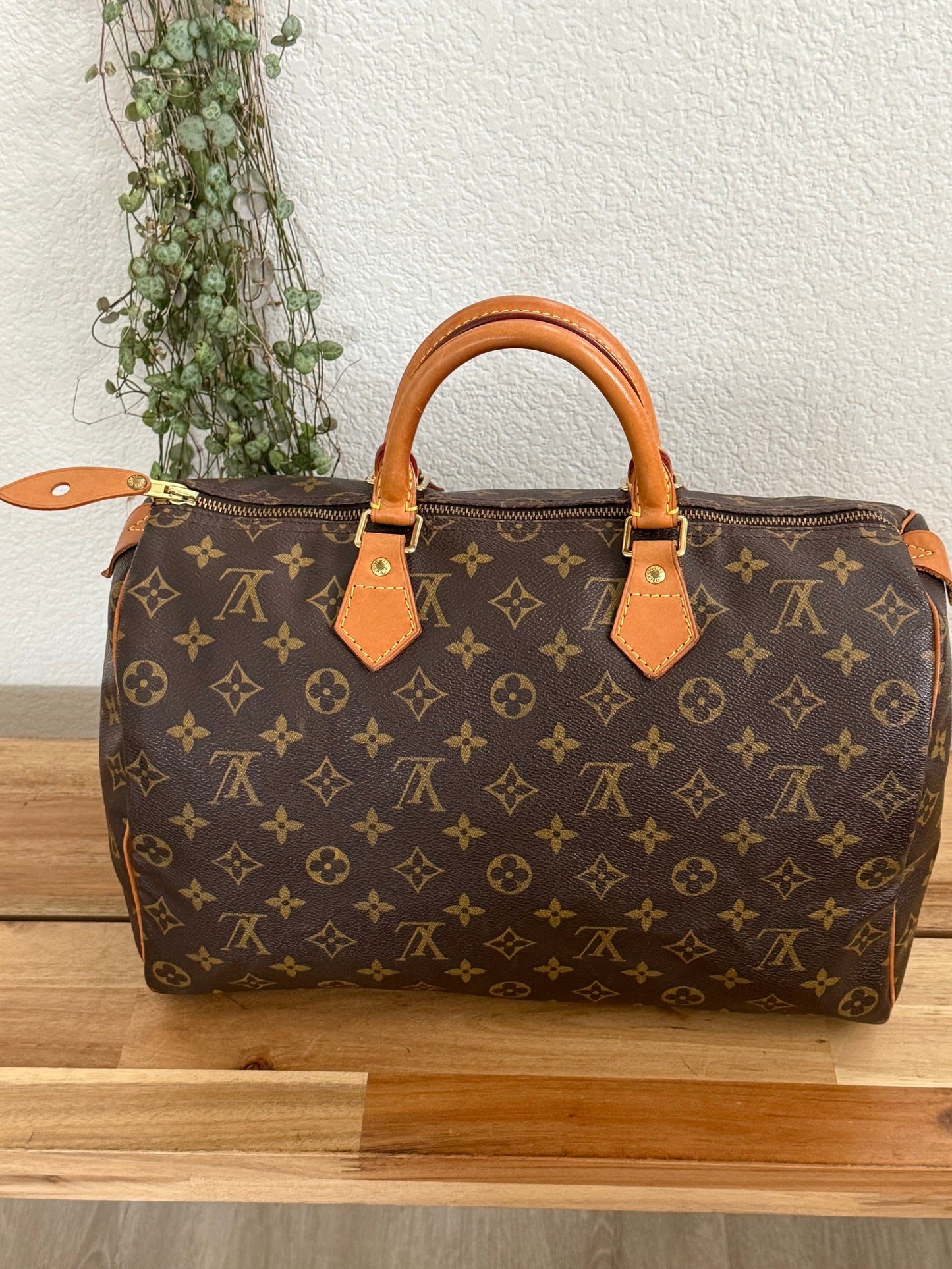 Speedy 35 with Dustbag - ๐
Year: 2000