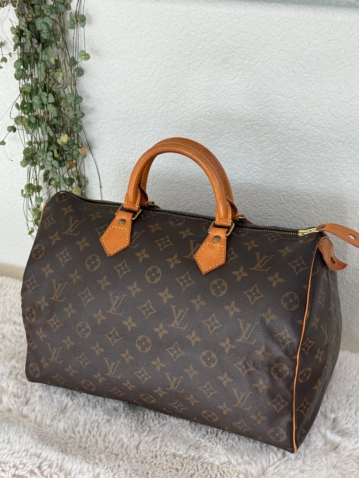 Speedy 35 with Dustbag- π
Year: 1994