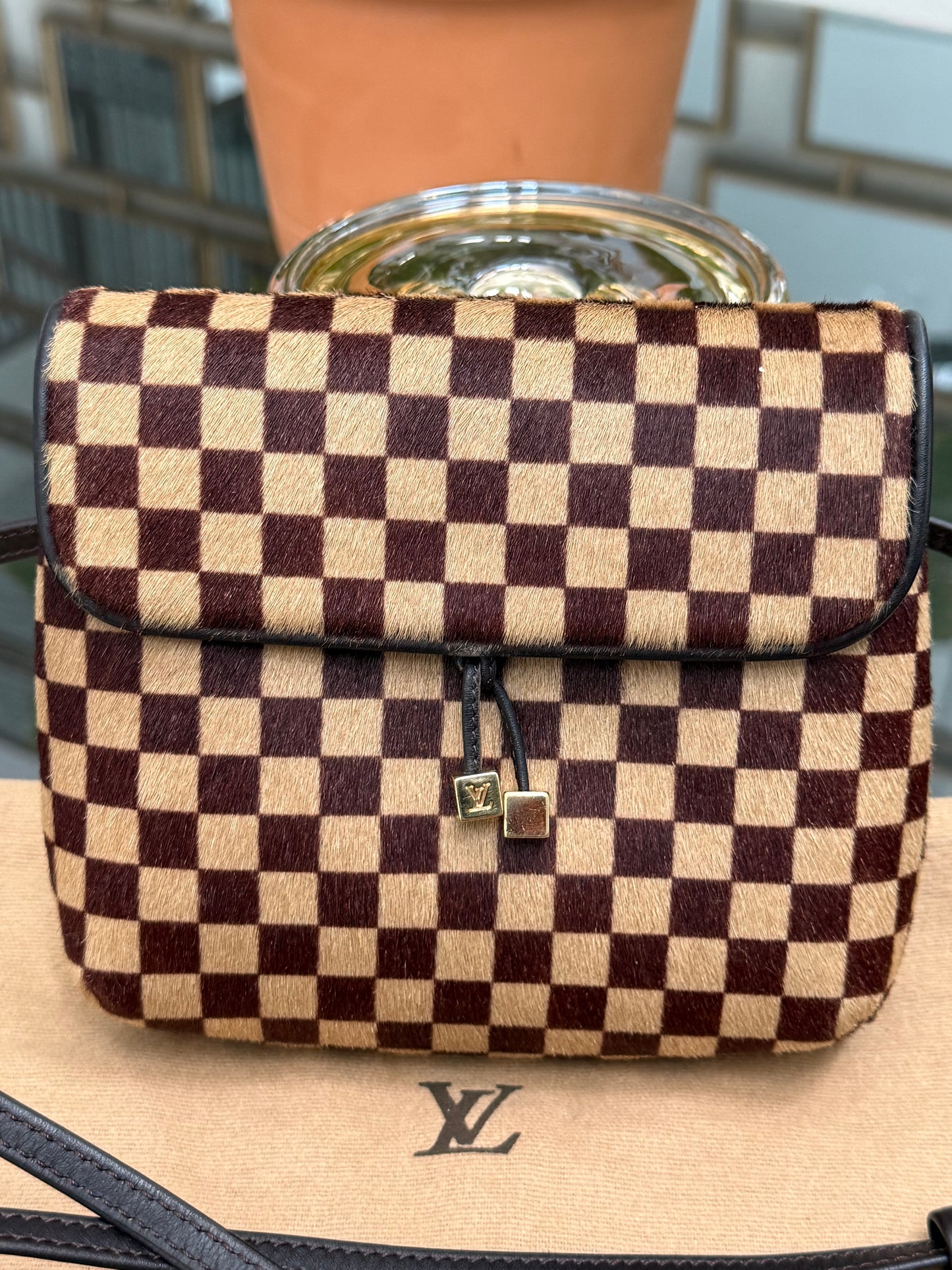 Damier Sauvage Gazelle Crossbody Pouch with Dustbag -🗓️ Year: 2001