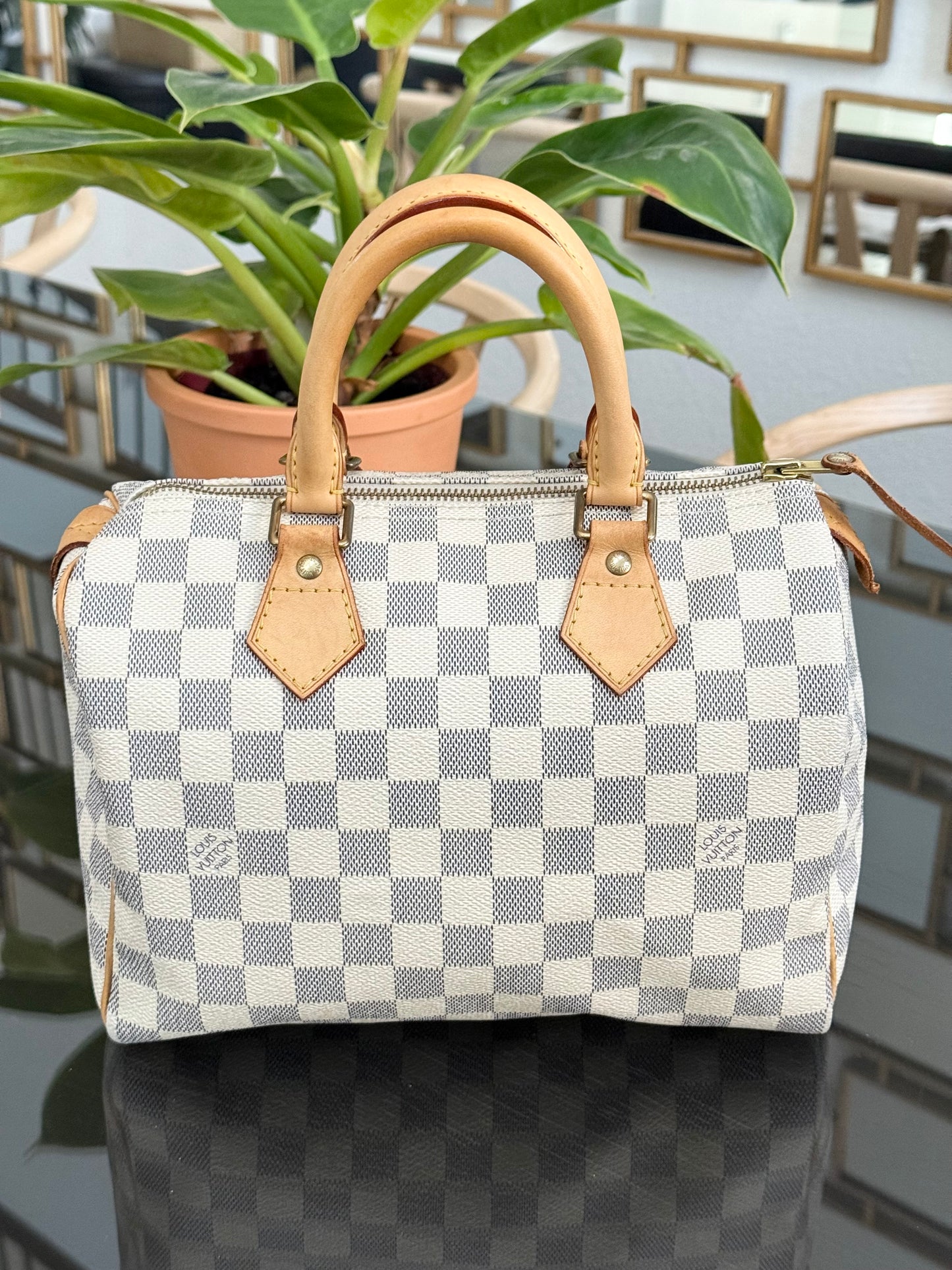 Speedy 25 Azur with, Dustbag, Insert organizer and twilly
๐๏ธ Year: 2008