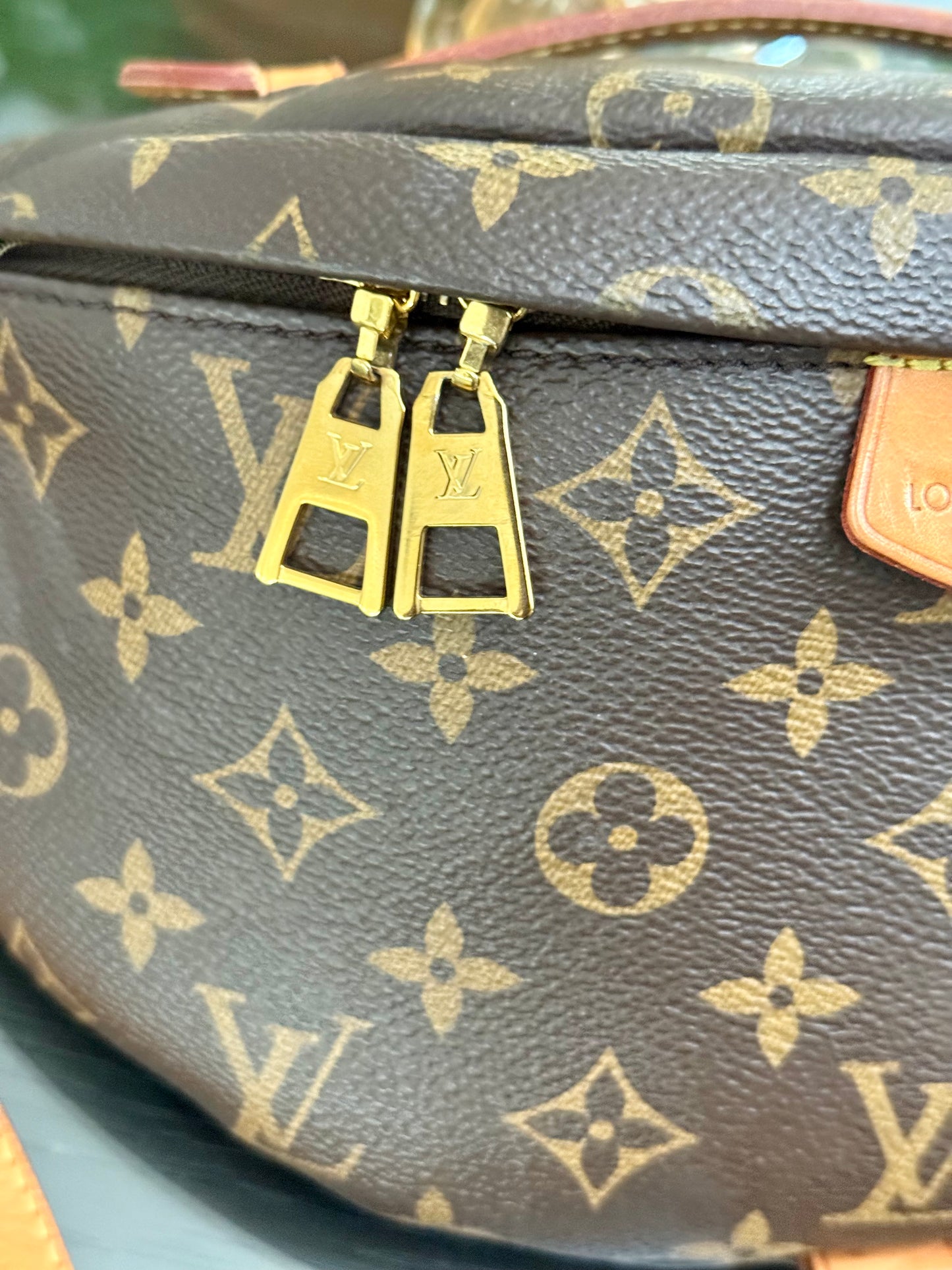Bumbag Monogram - 🗓️ Microchip