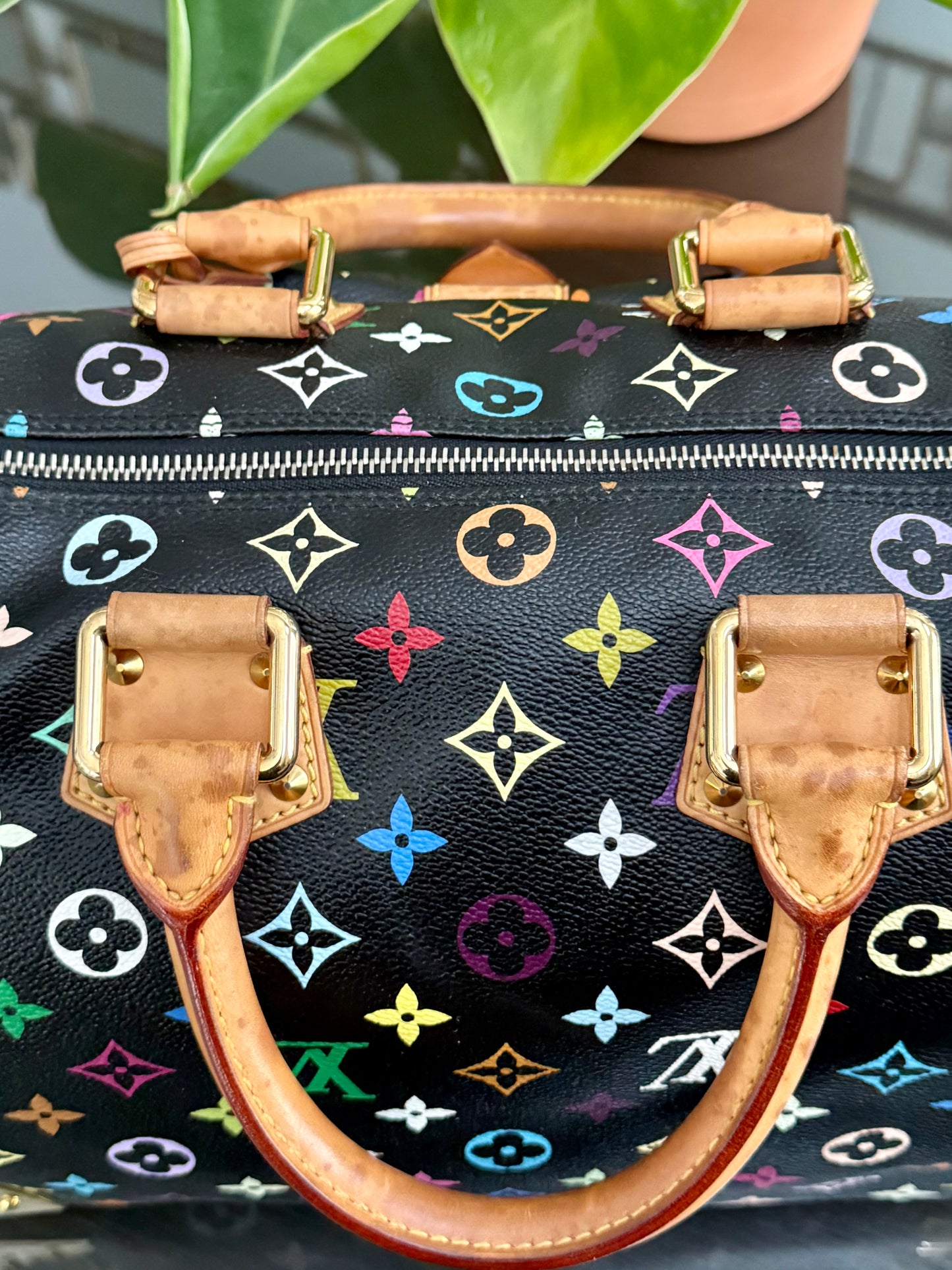 Multicolor Speedy 30 with Dustbag and twilly set π
Year: 2008