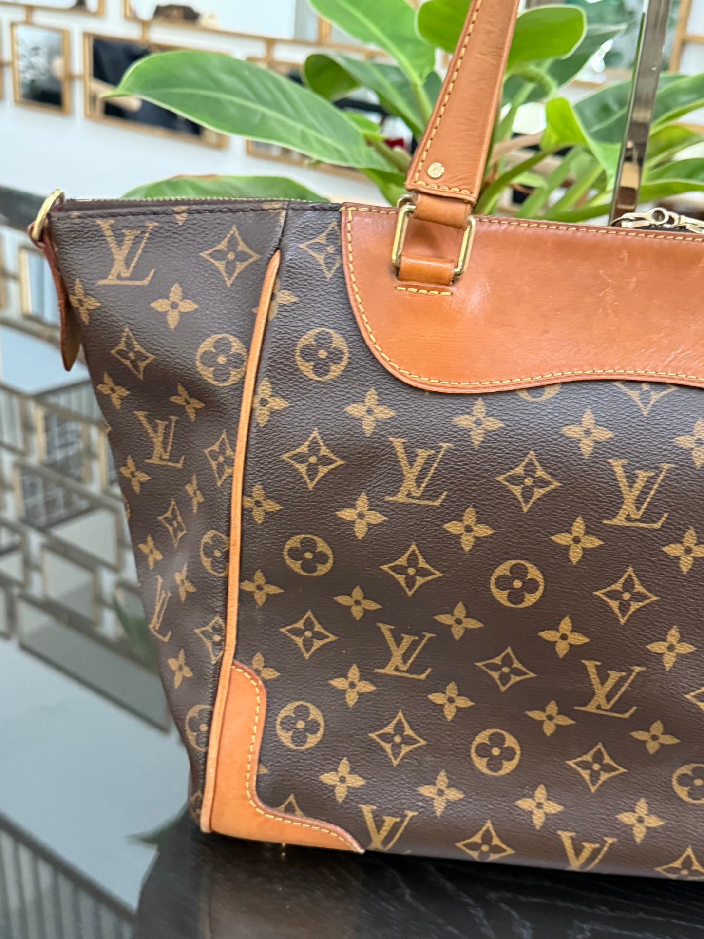 Estrela NM MM with Dustbag-๐๏ธ Year: 2014