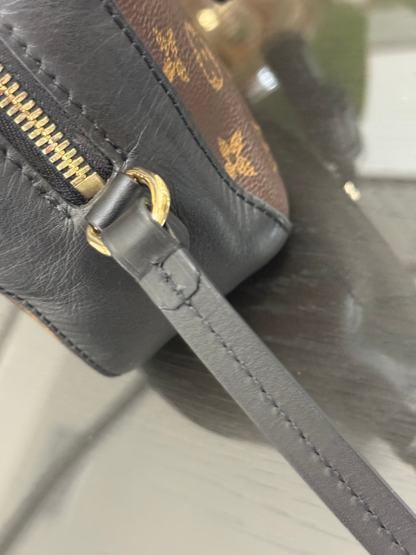 Saintonge Monogram Noir Crossbody -🗓️ Year: 2018