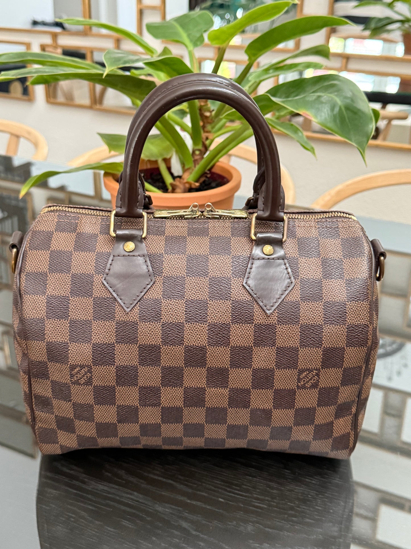 Speedy 25 Bandoulier in DE with Dustbag and Insert Organizer -🗓️ Year: 2013